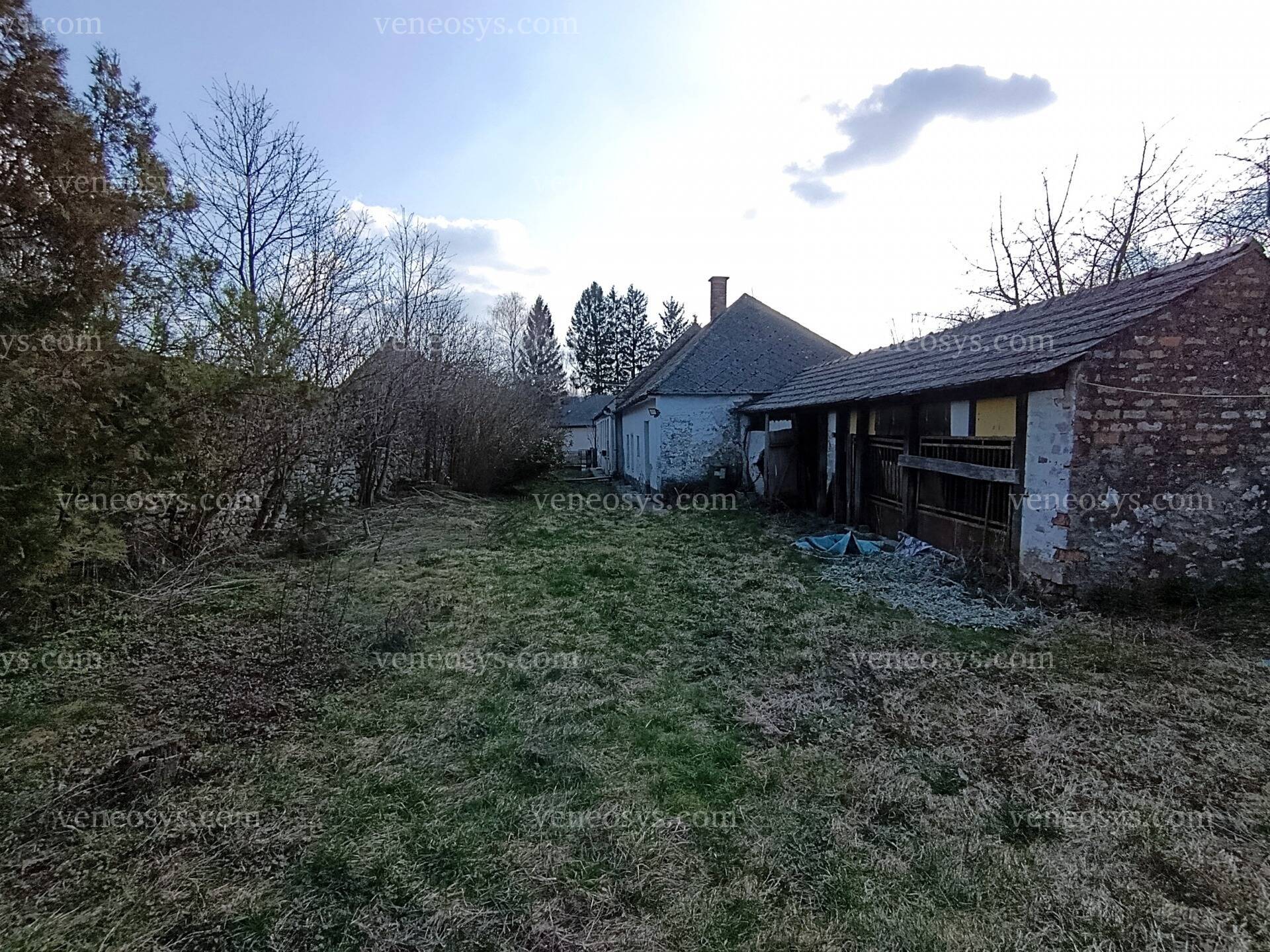 Kép 16