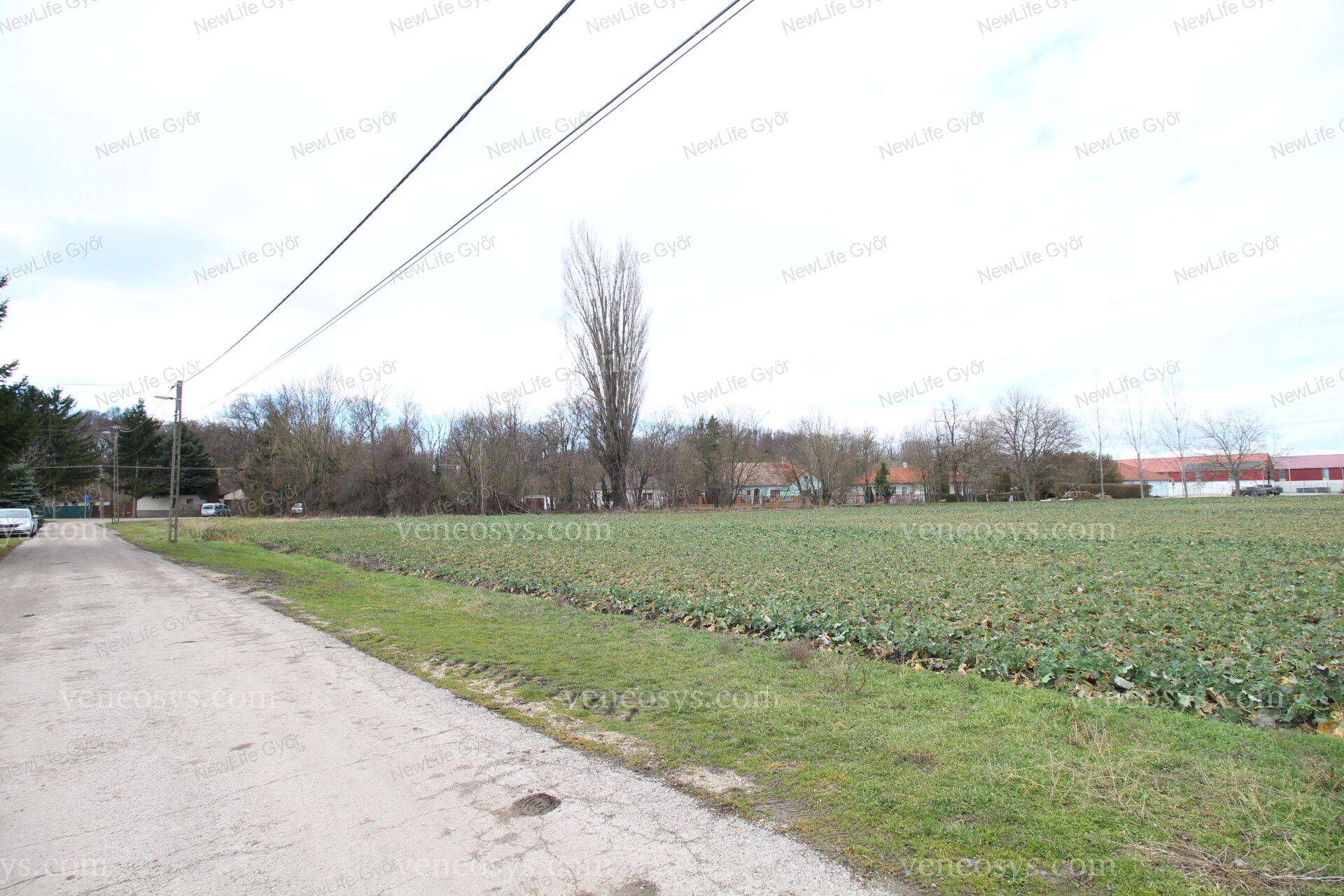 Kép 3