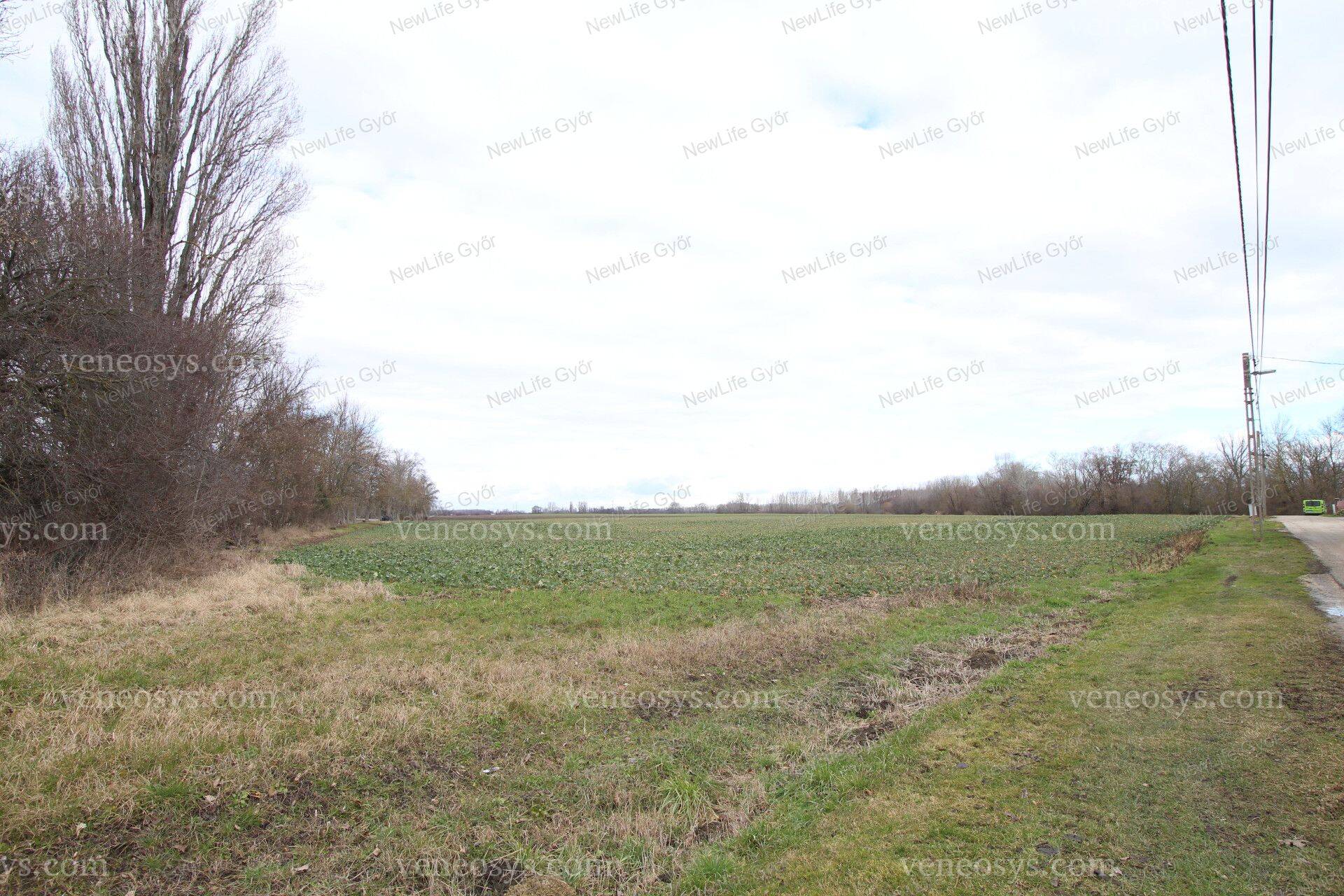 Kép 5