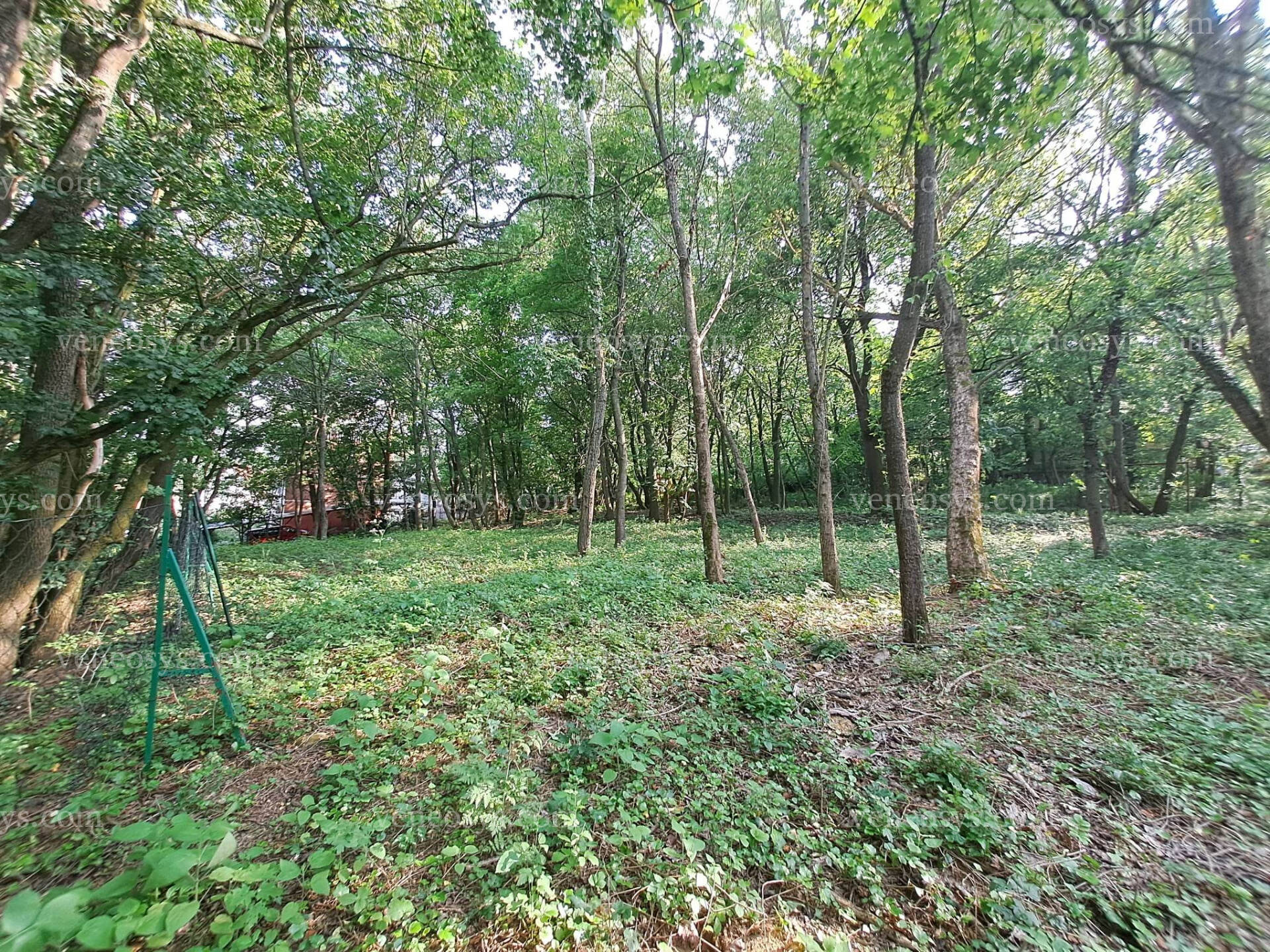 Kép 3
