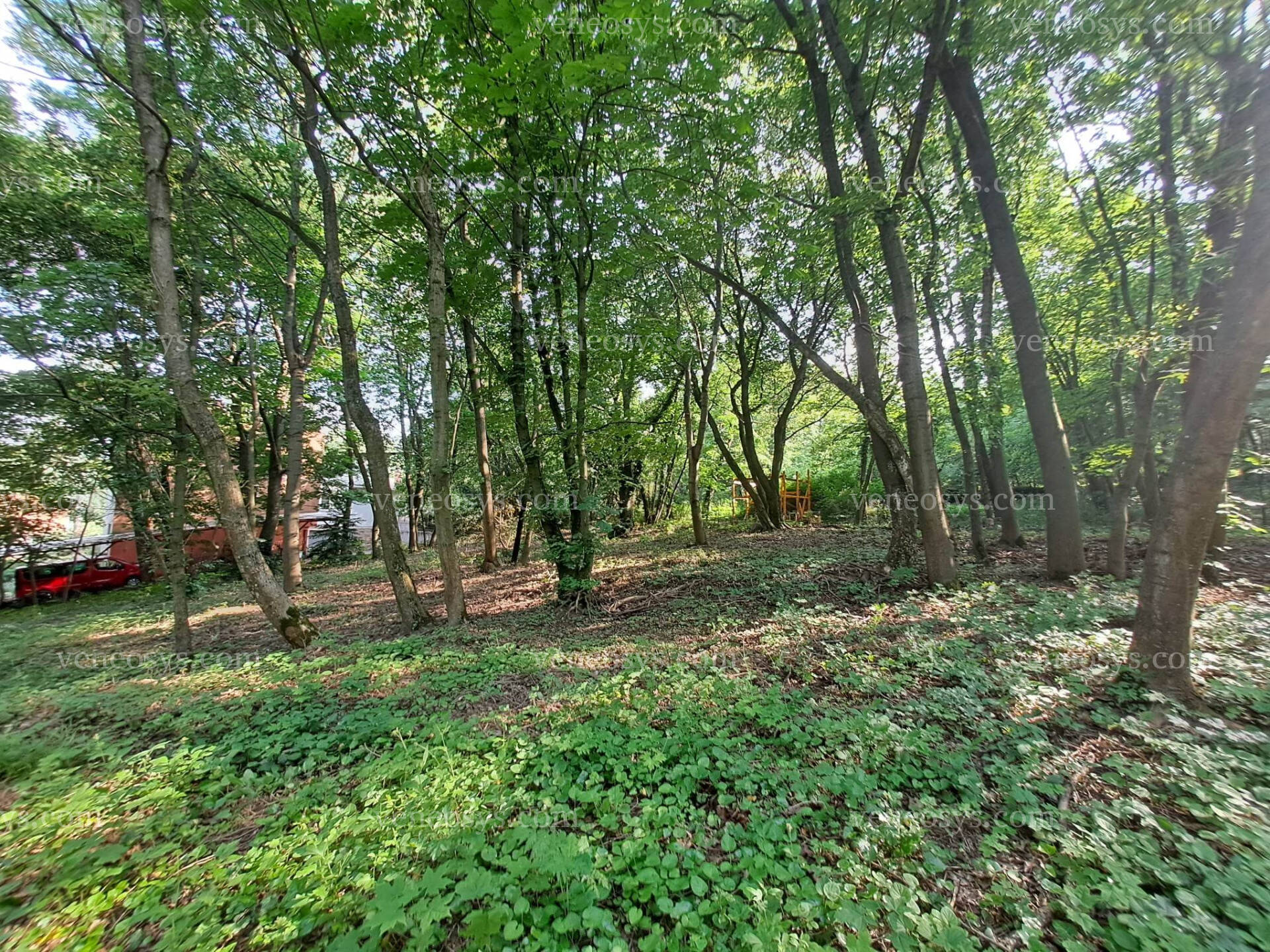 Kép 4