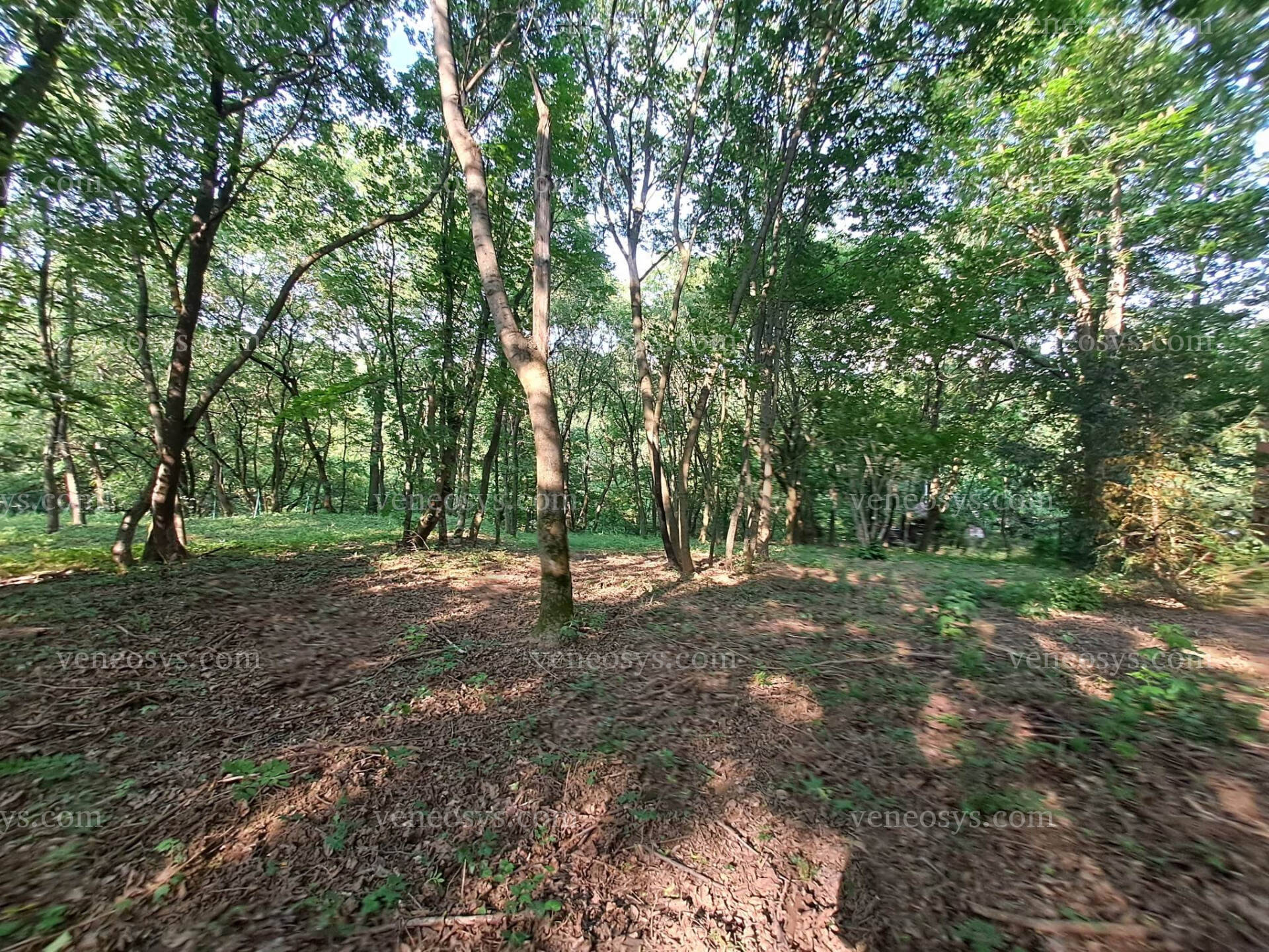 Kép 2