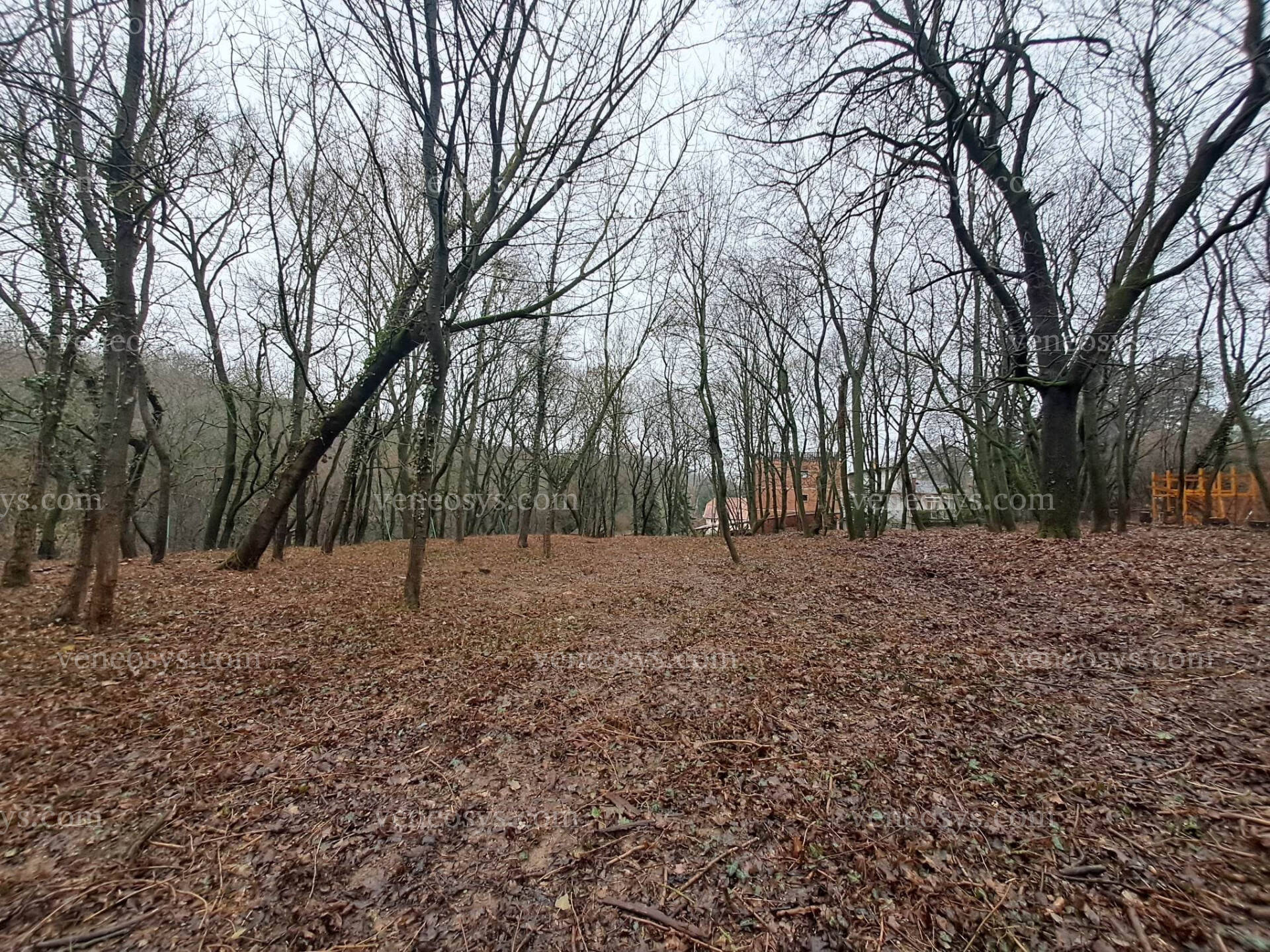 Kép 8