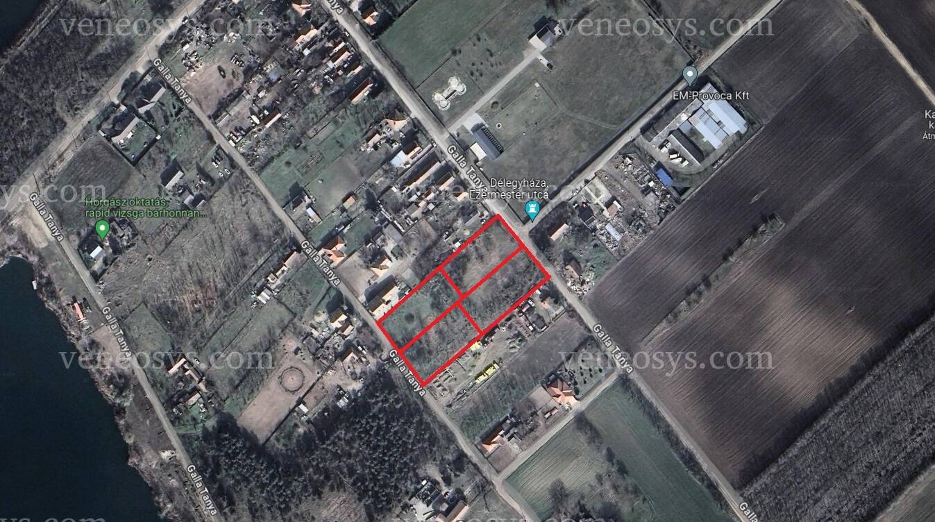 Kép 5