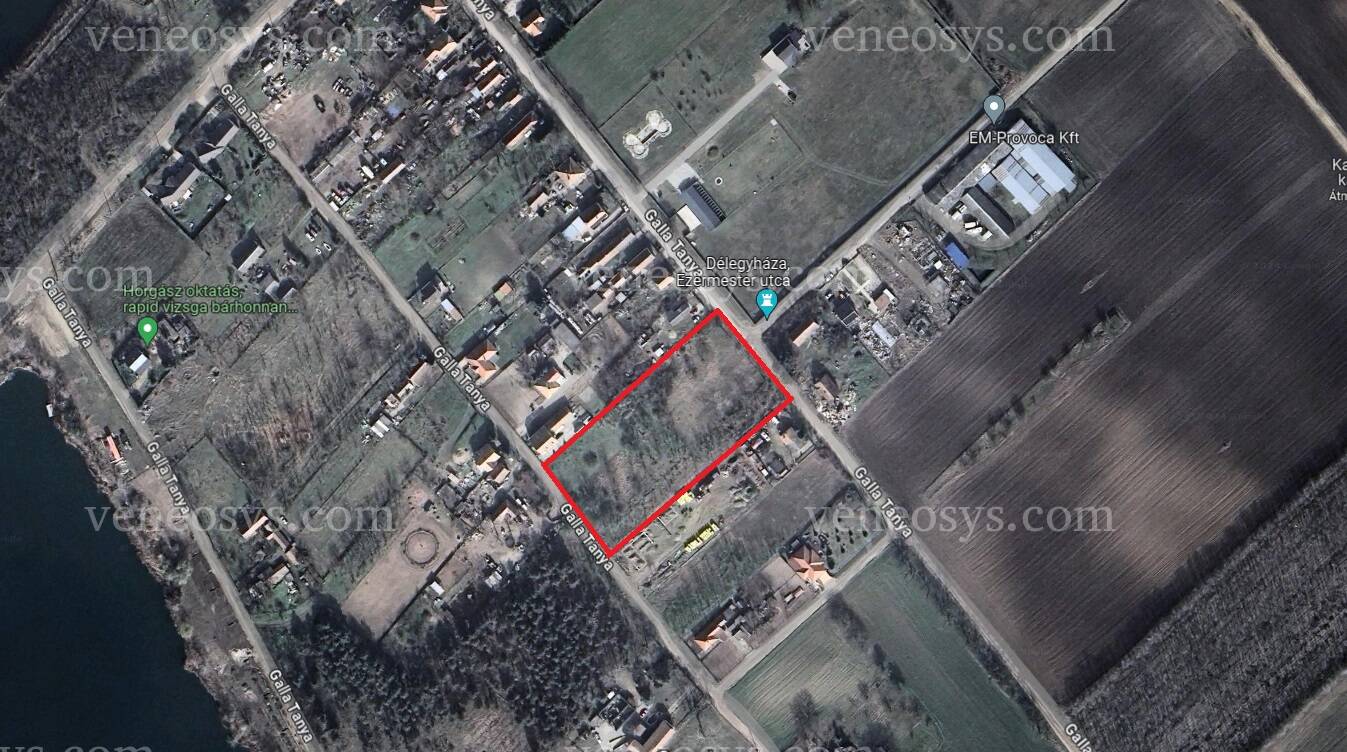 Kép 3