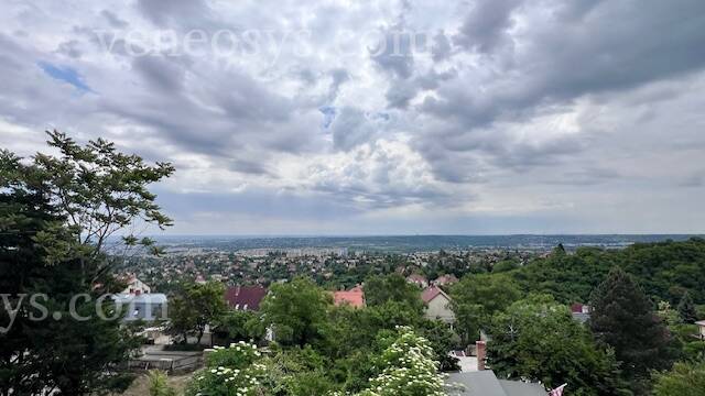 Kép 7