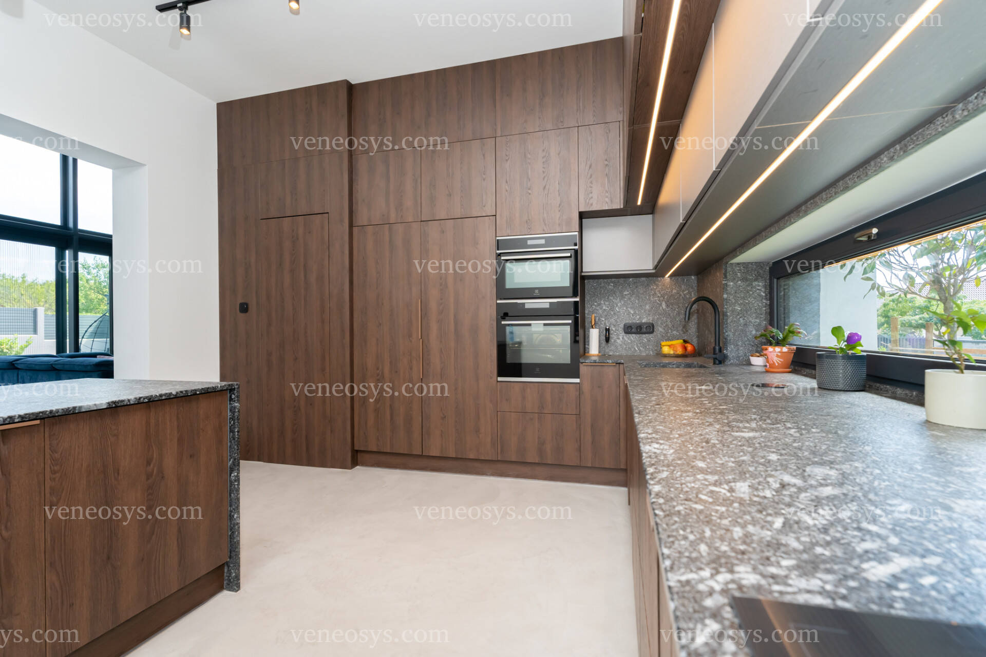 Kép 5