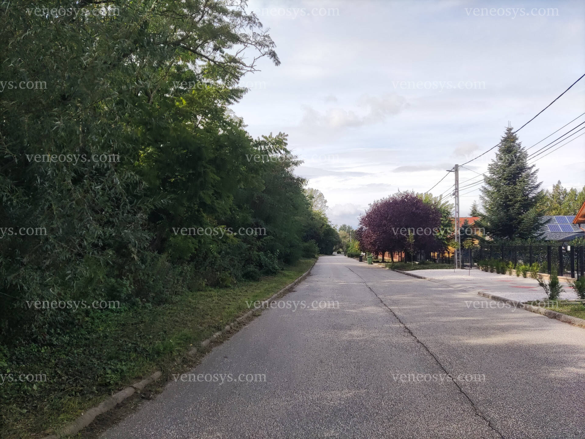 Kép 5