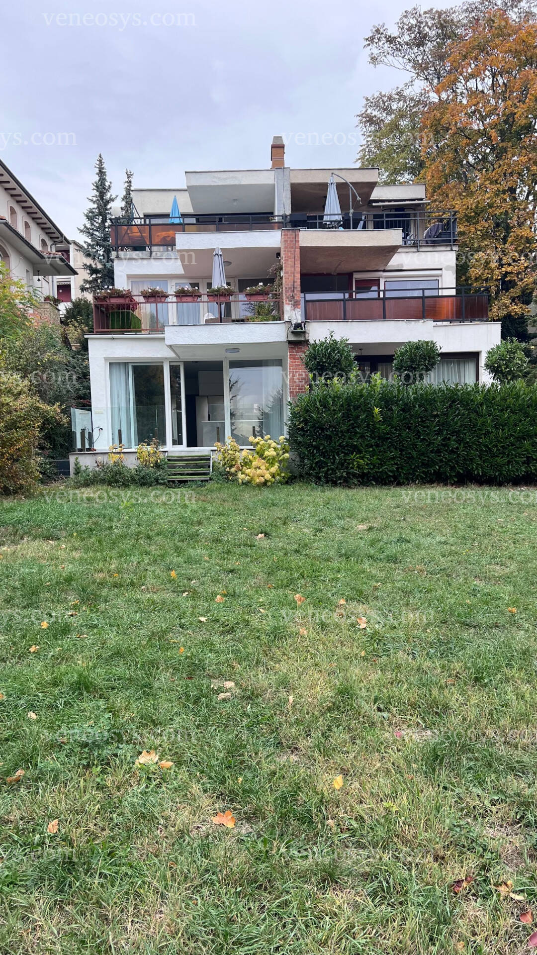 Kép 3