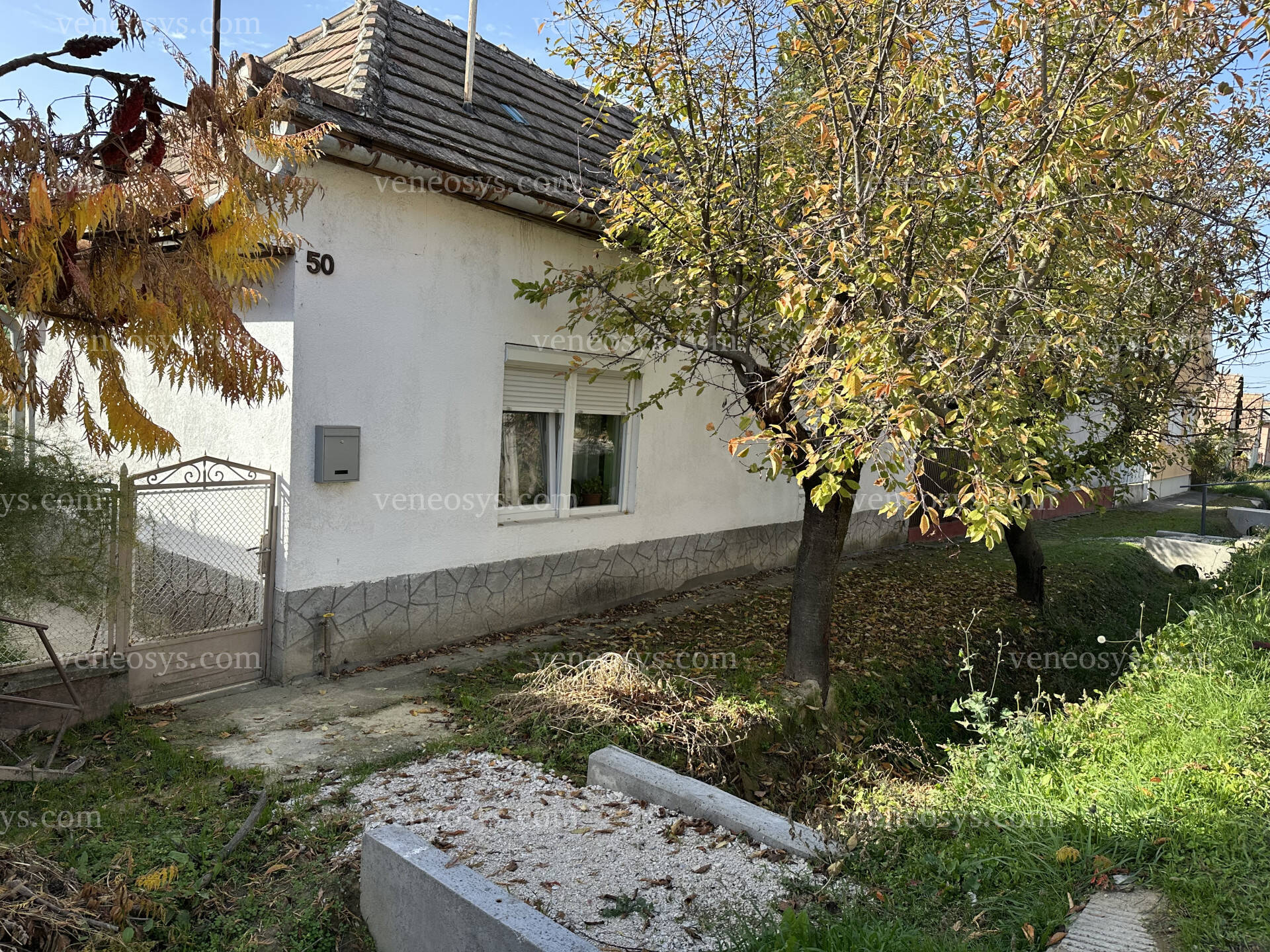 Kép 2