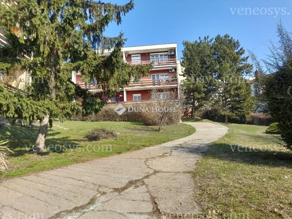 Kép 9