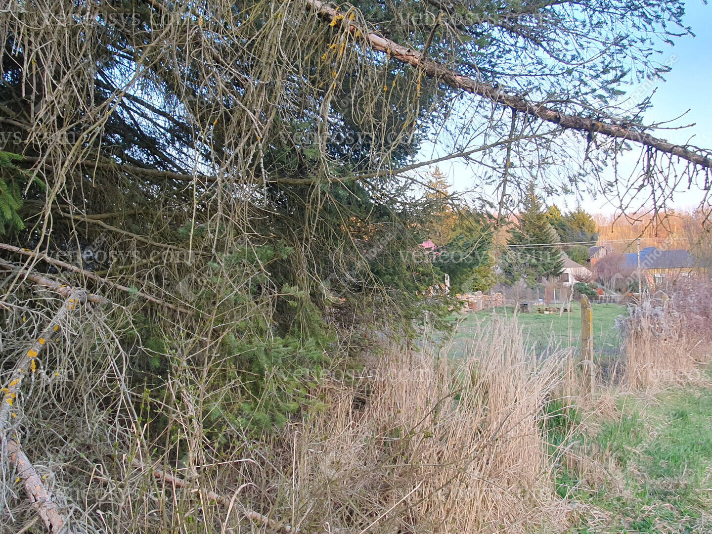 Kép 30