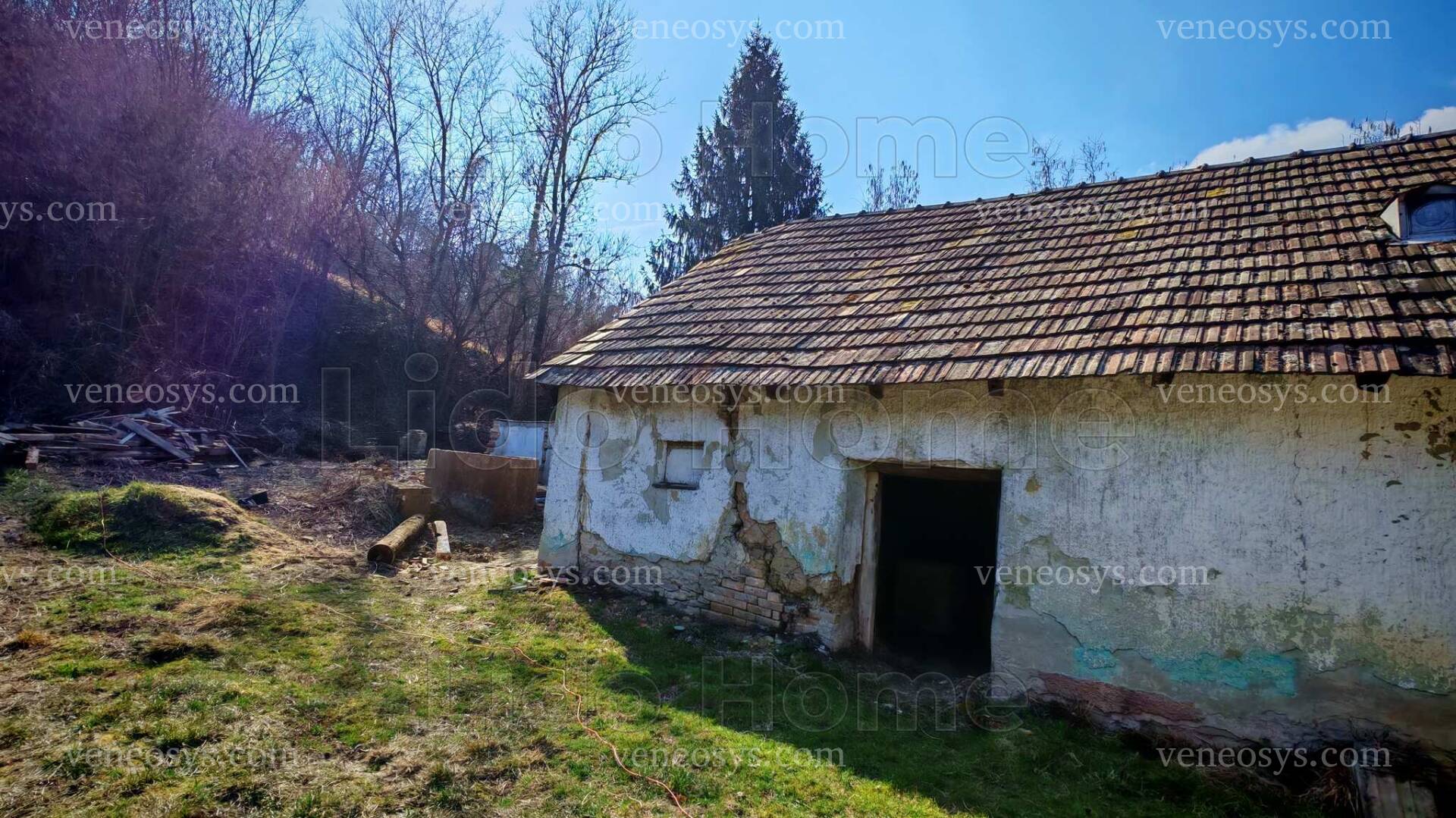 Kép 5