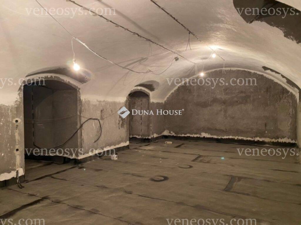 Kép 11