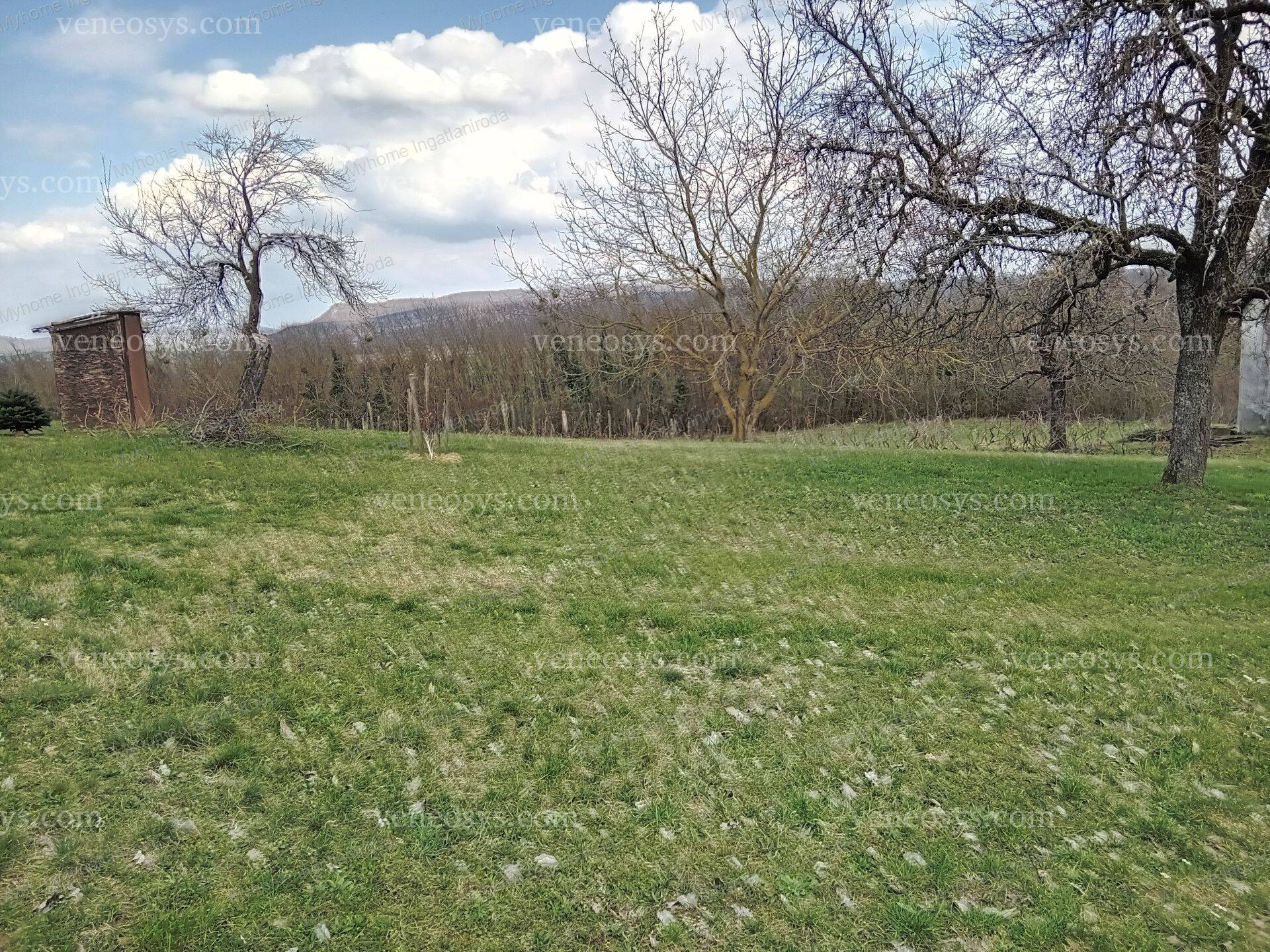 Kép 4
