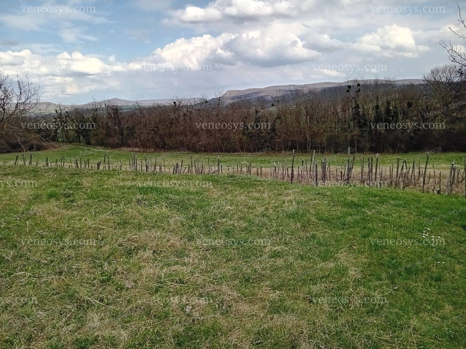 Ingatlan