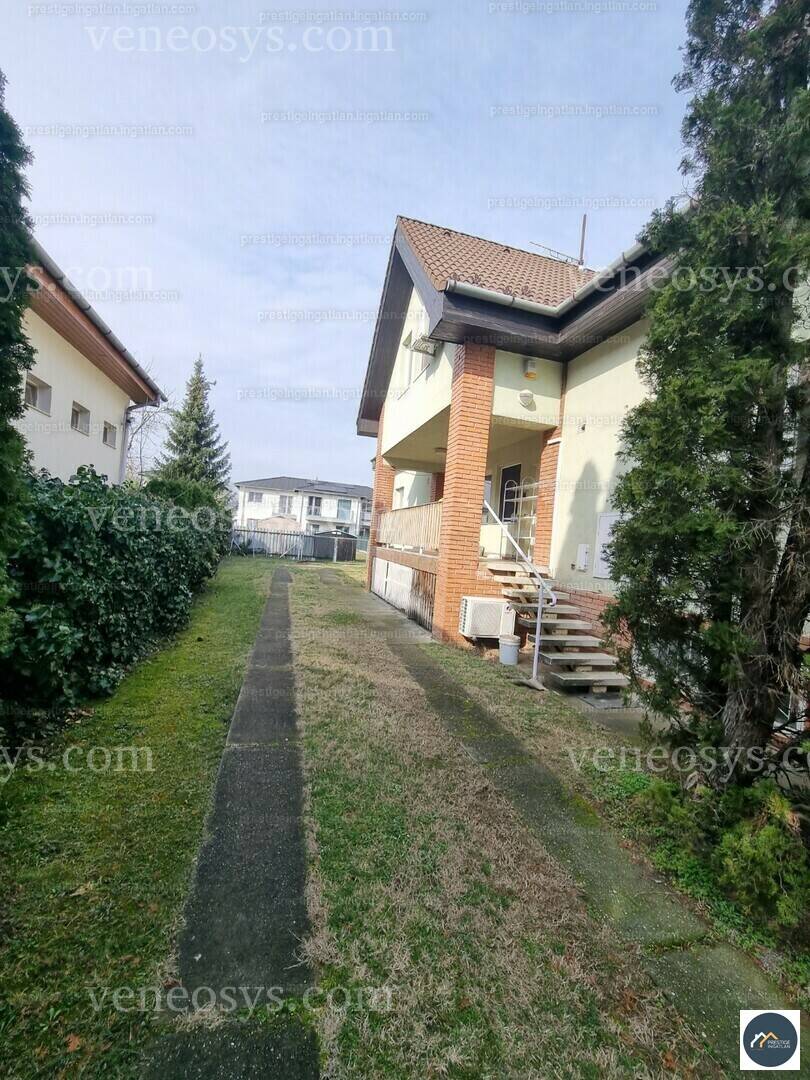 Kép 5