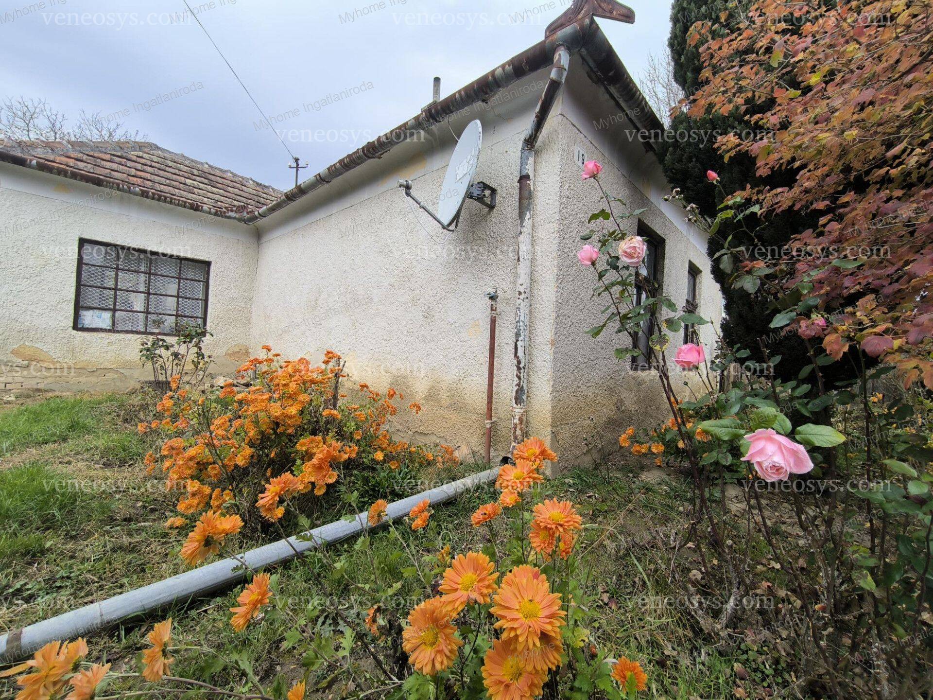 Kép 7