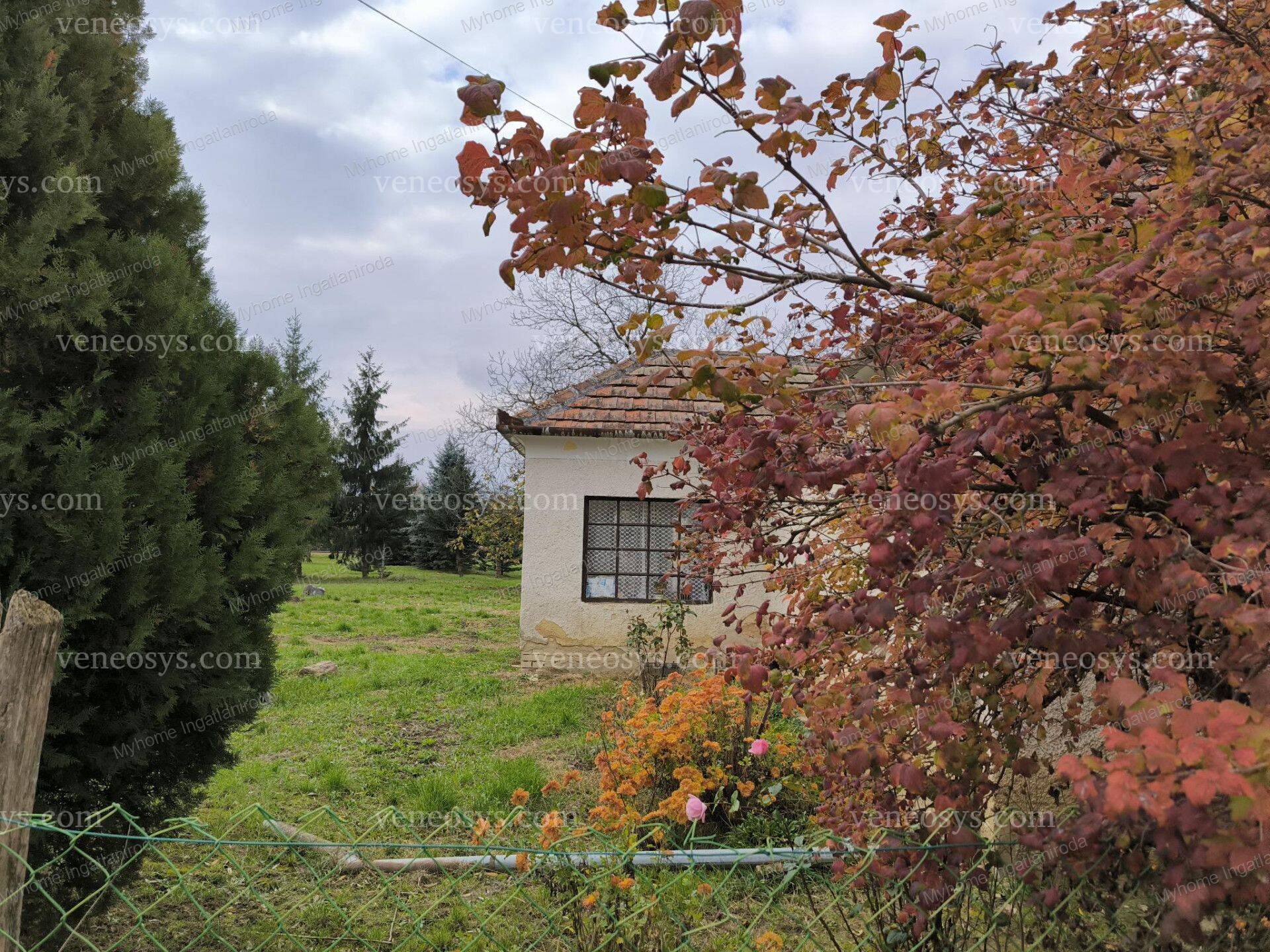 Kép 22