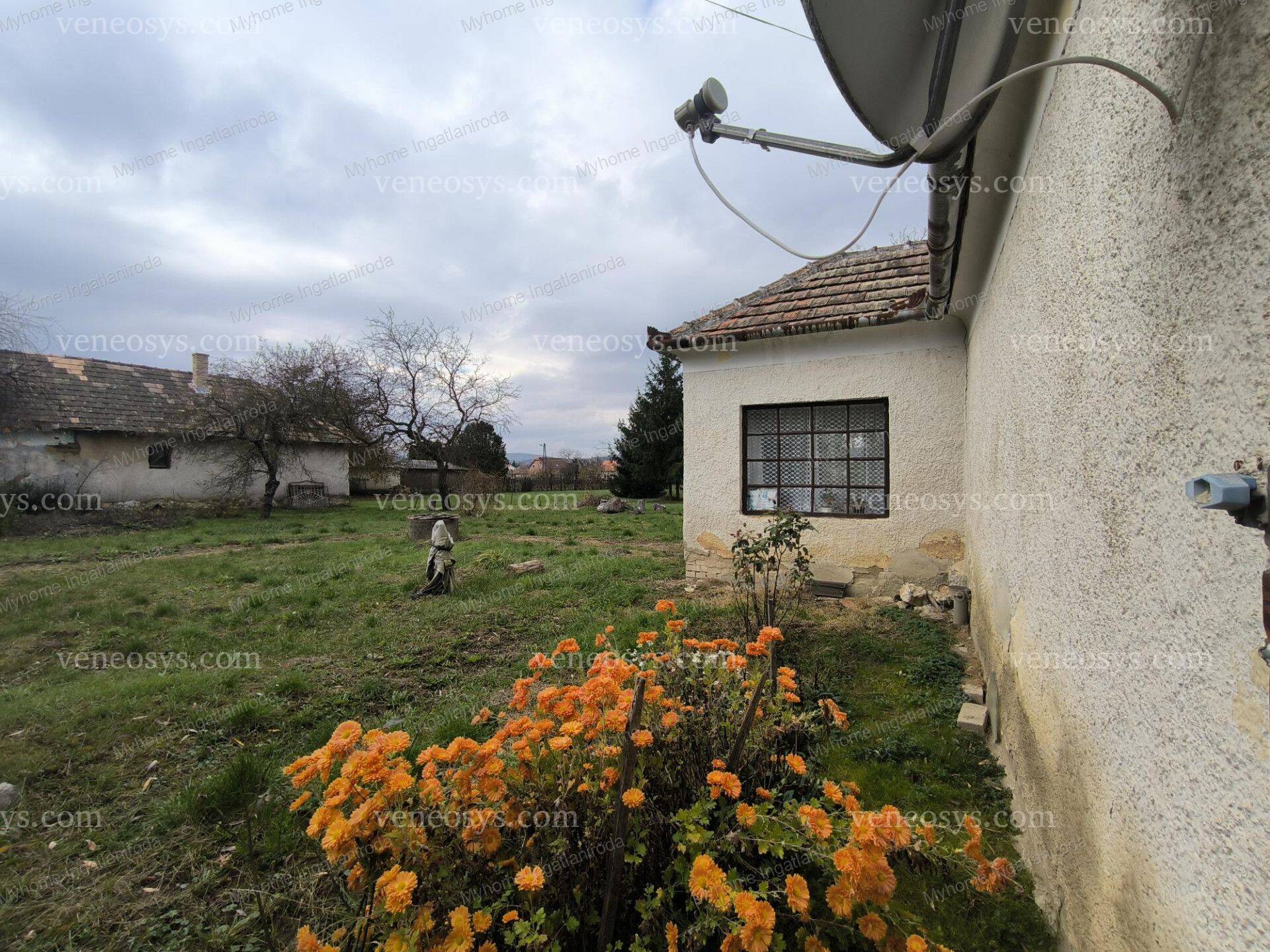 Kép 9