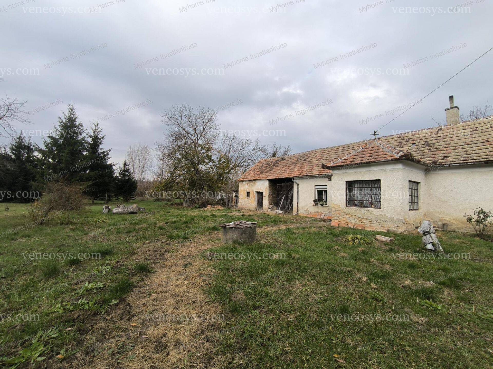 Kép 4