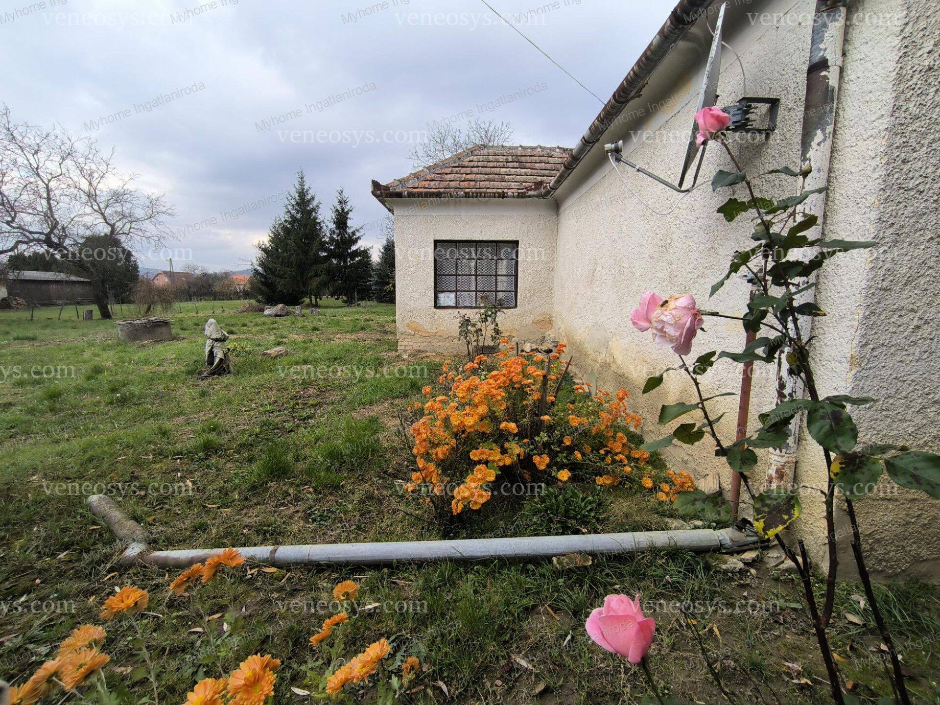 Kép 8