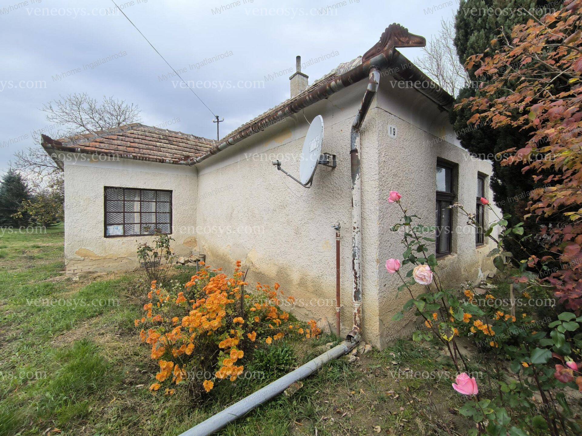 Kép 2