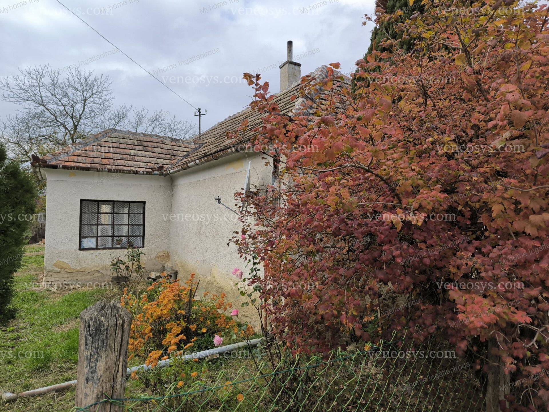 Kép 23
