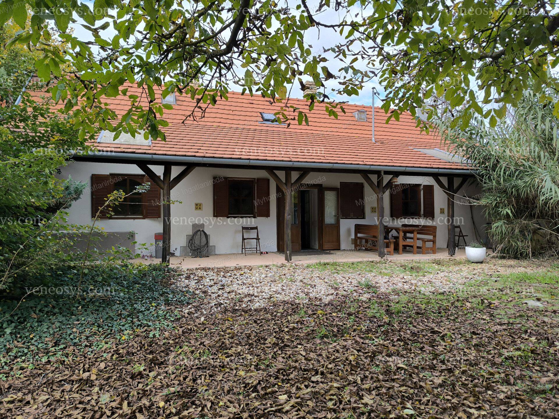 Kép 20