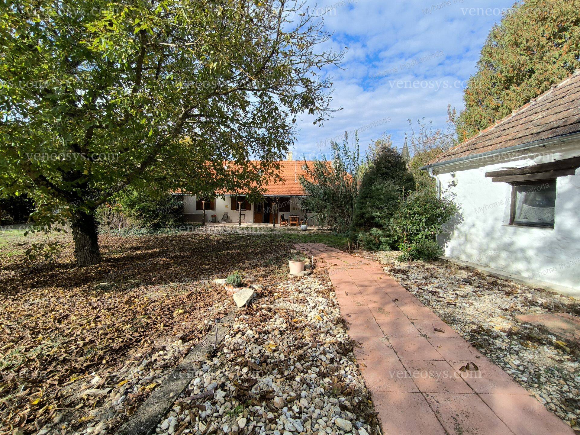 Kép 26