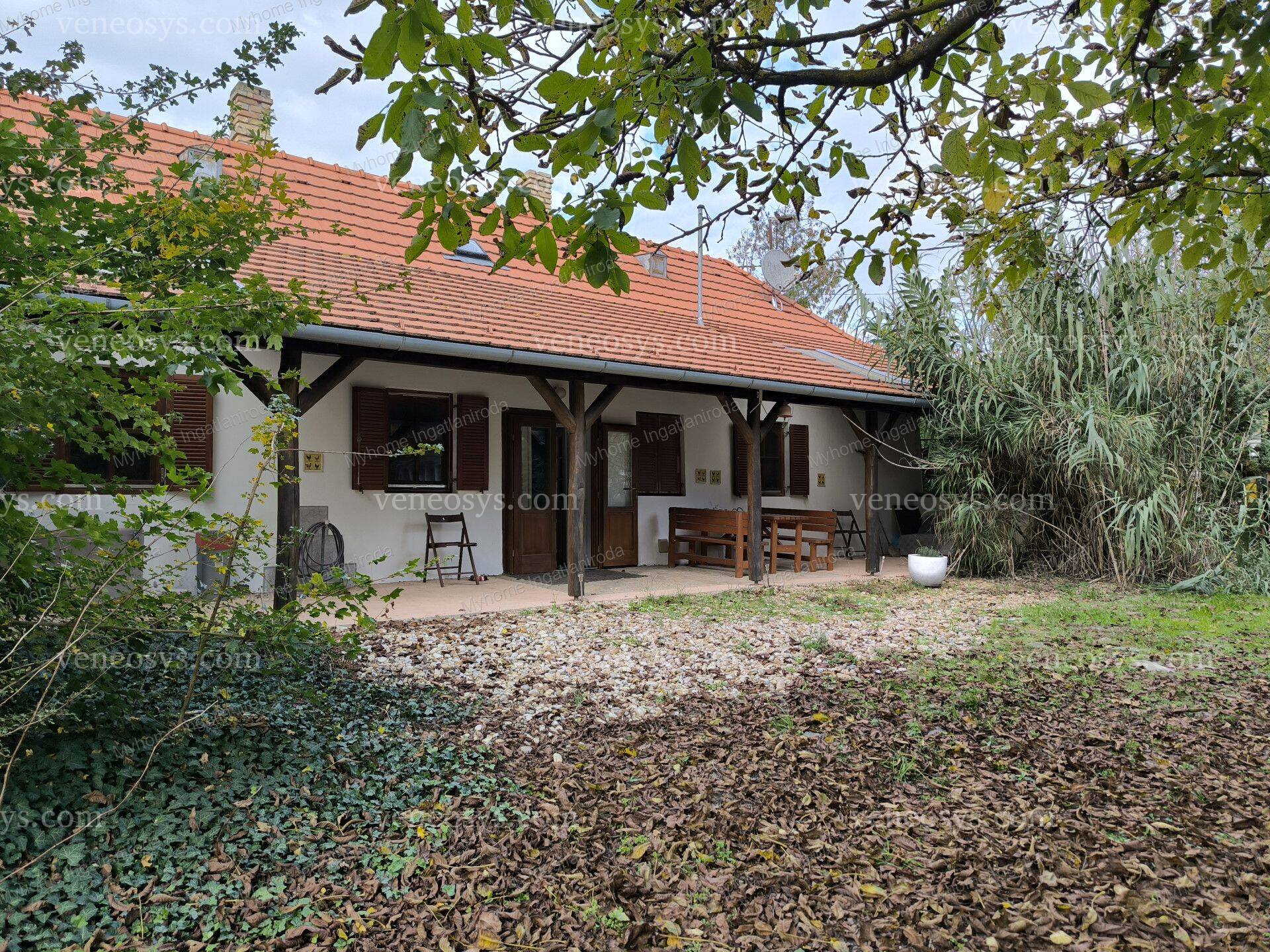 Kép 19