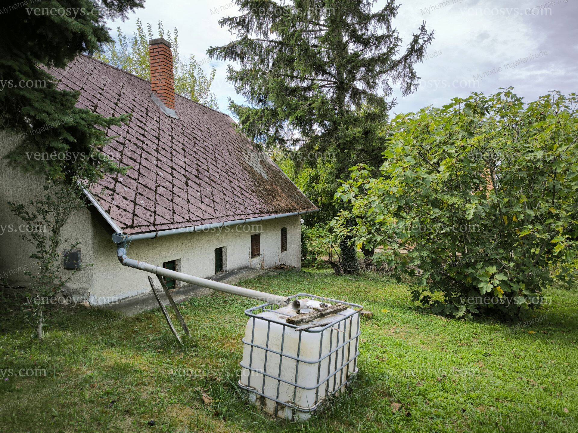 Kép 29