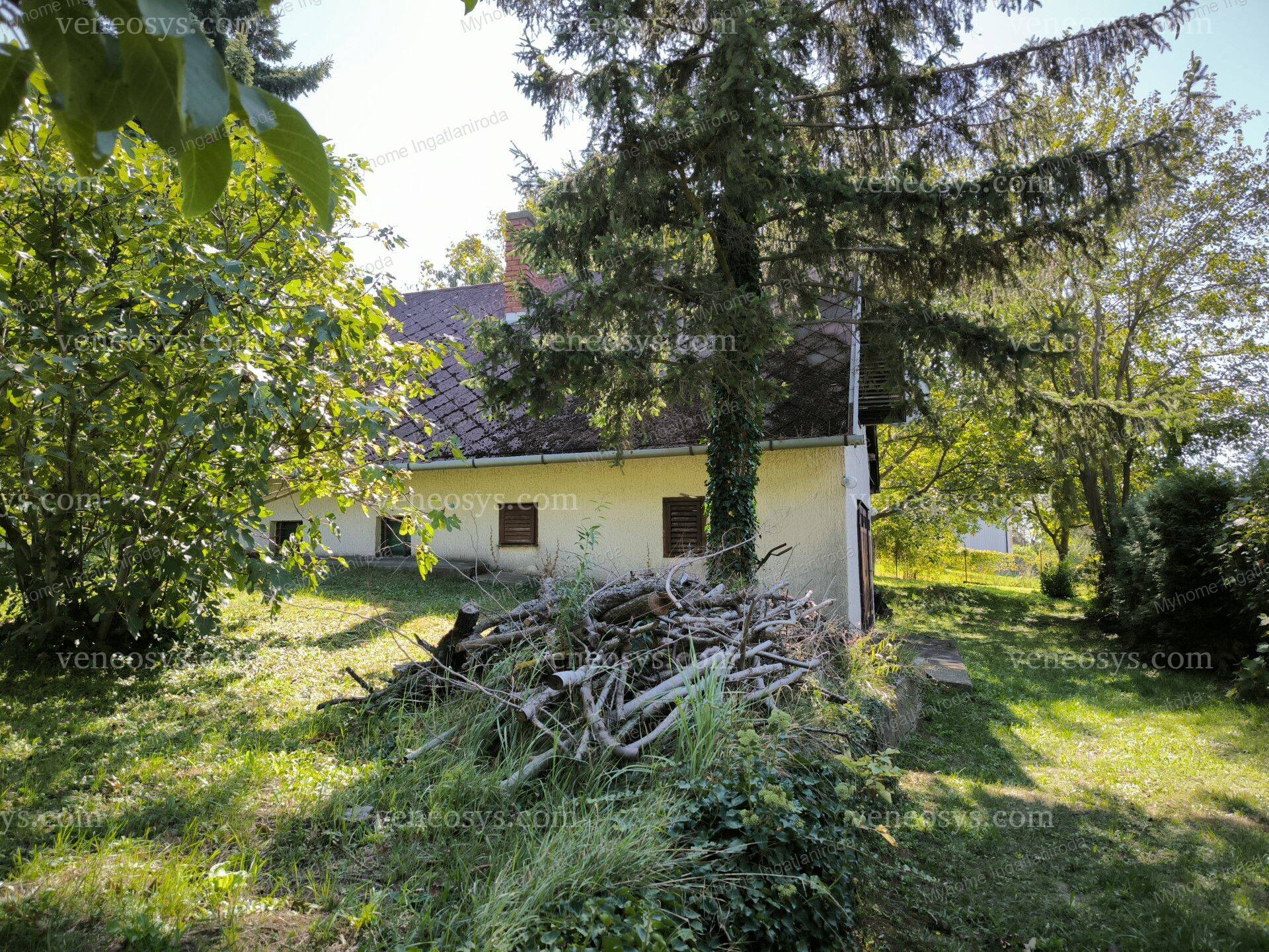 Kép 5