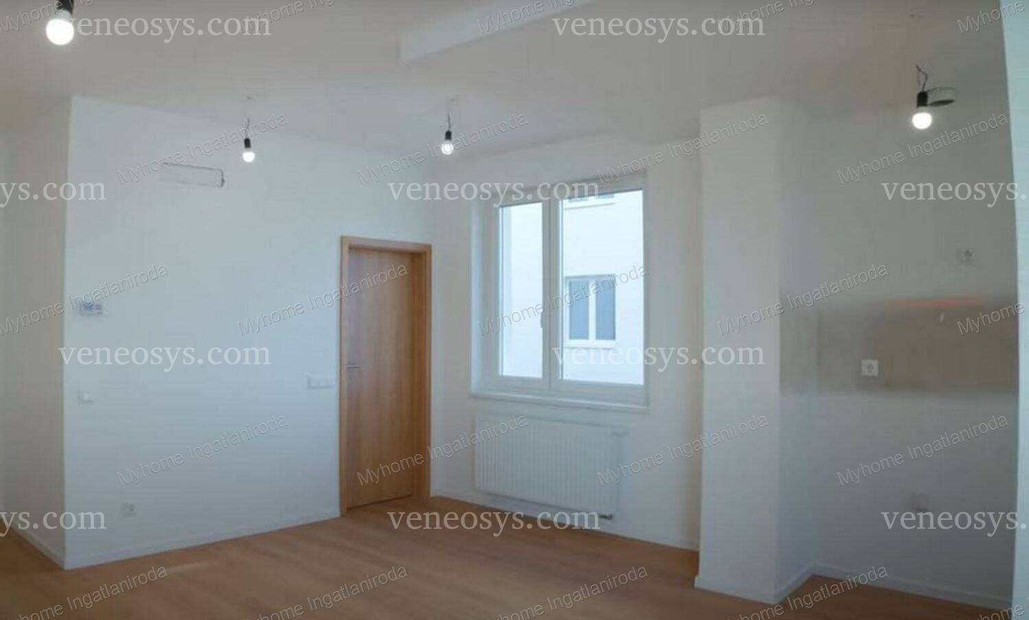 Kép 11