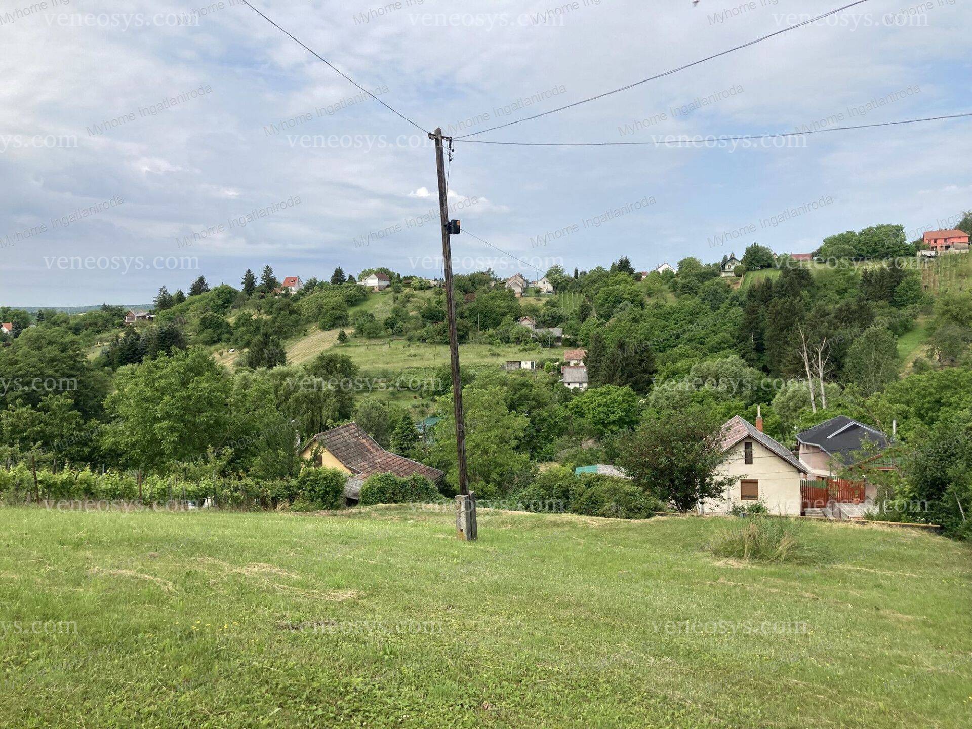 Kép 6