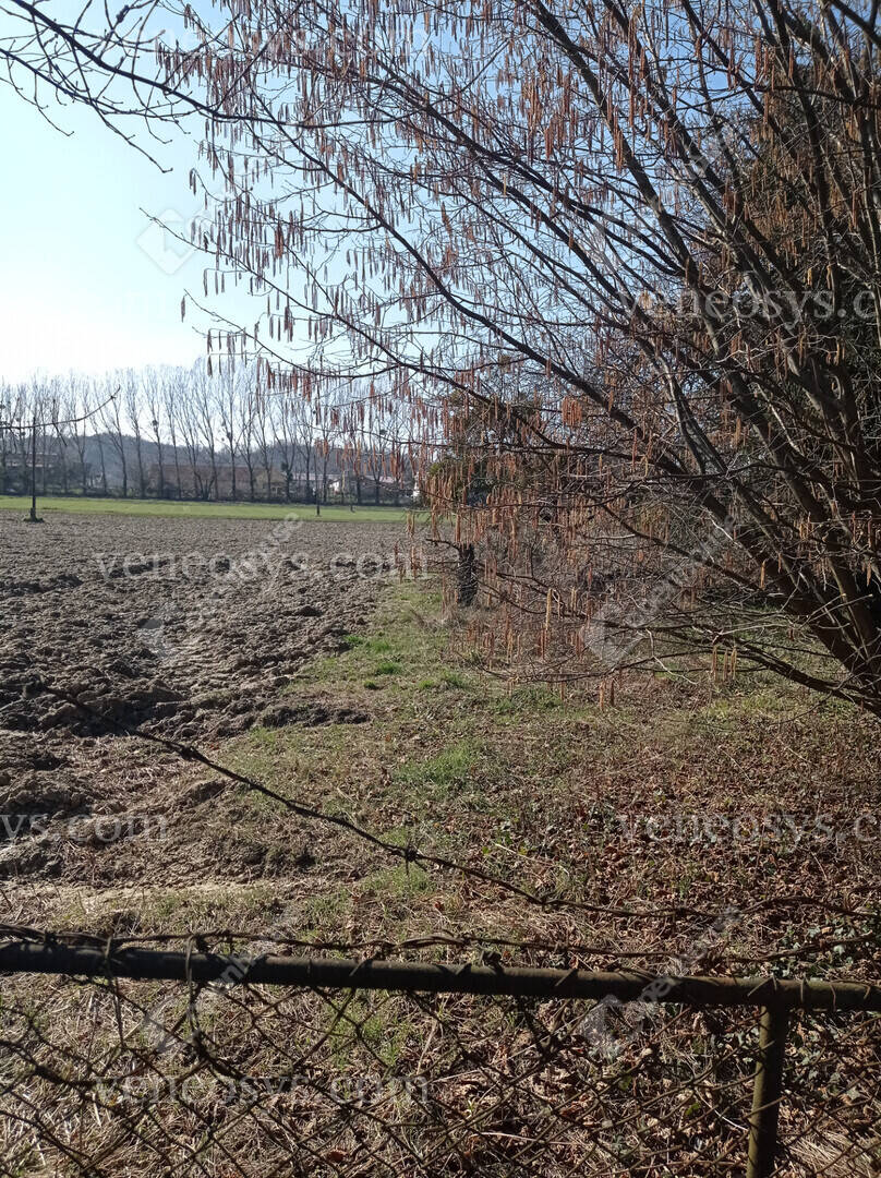 Kép 18
