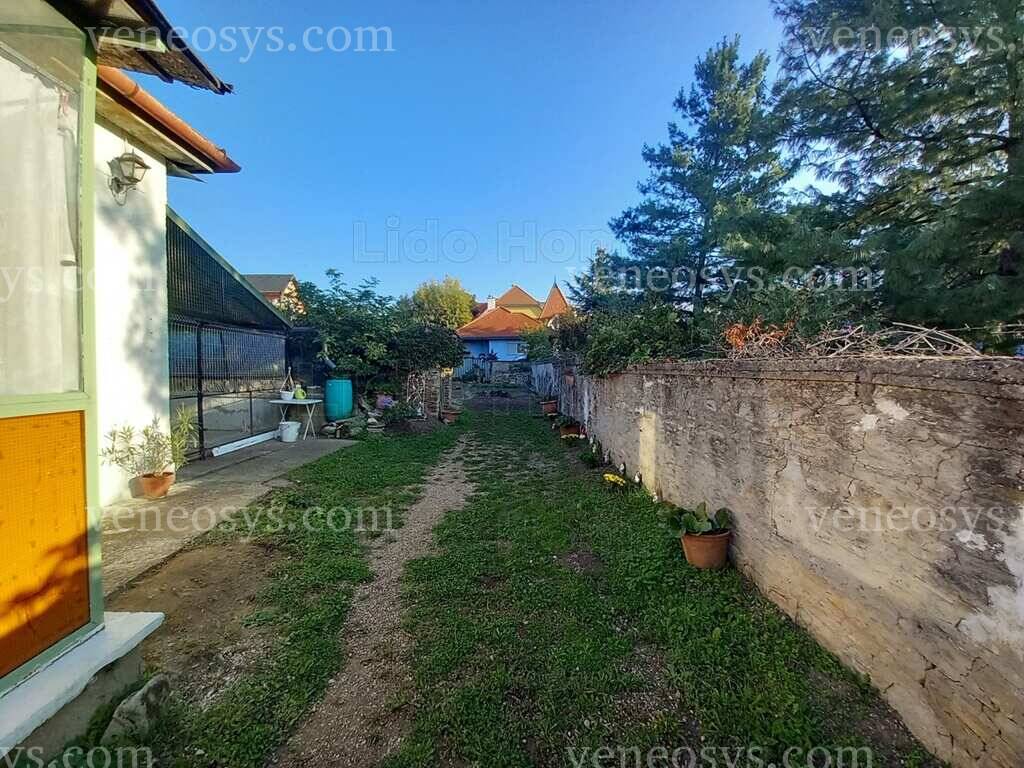 Kép 25