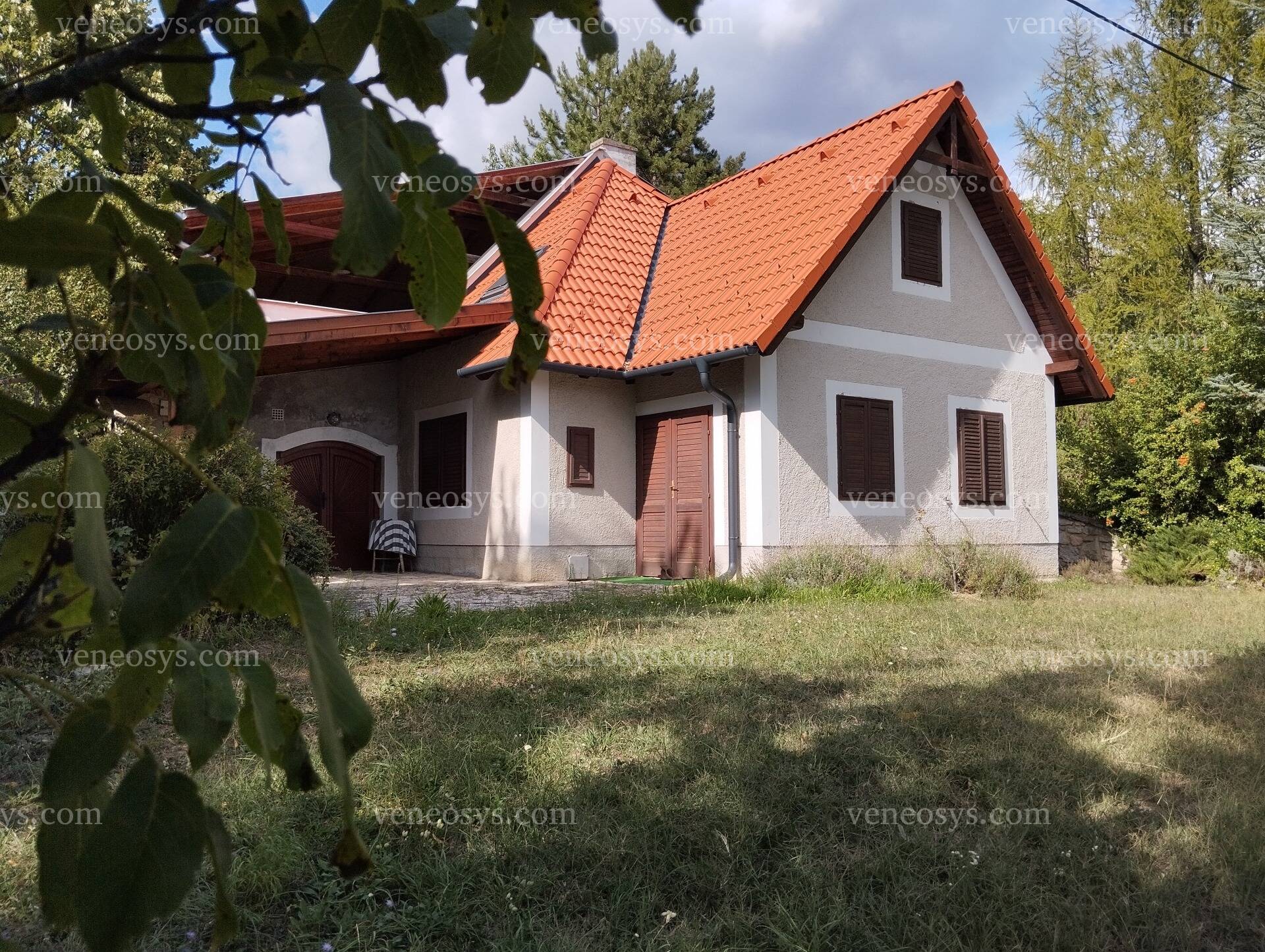 Kép 5