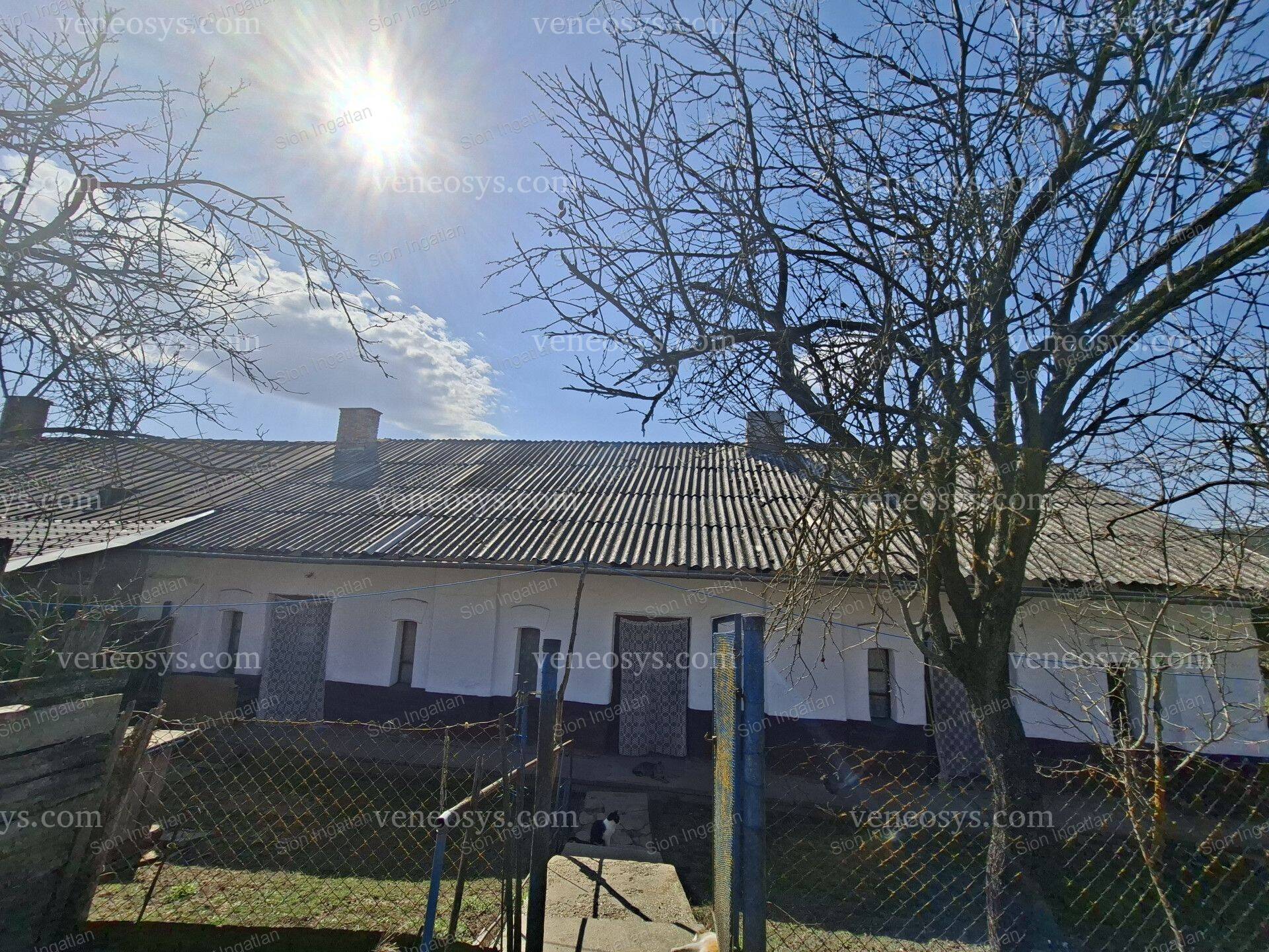 Kép 2