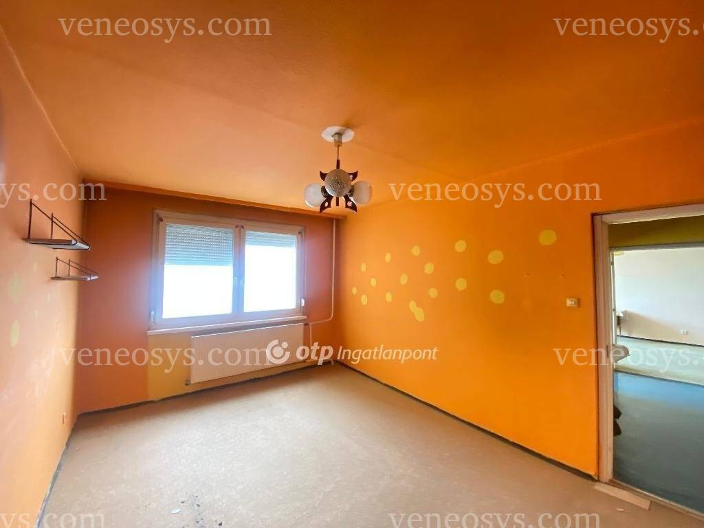 Kép 5