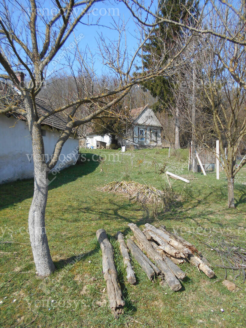 Kép 10