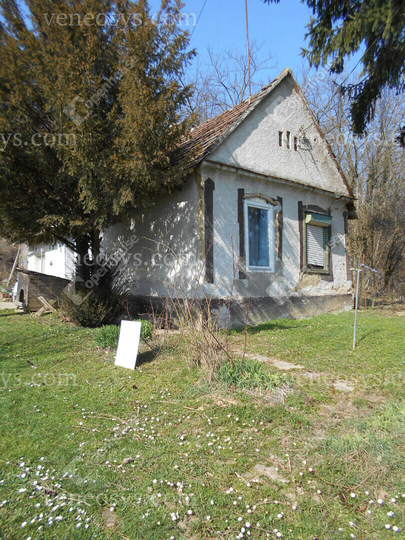Kép 8