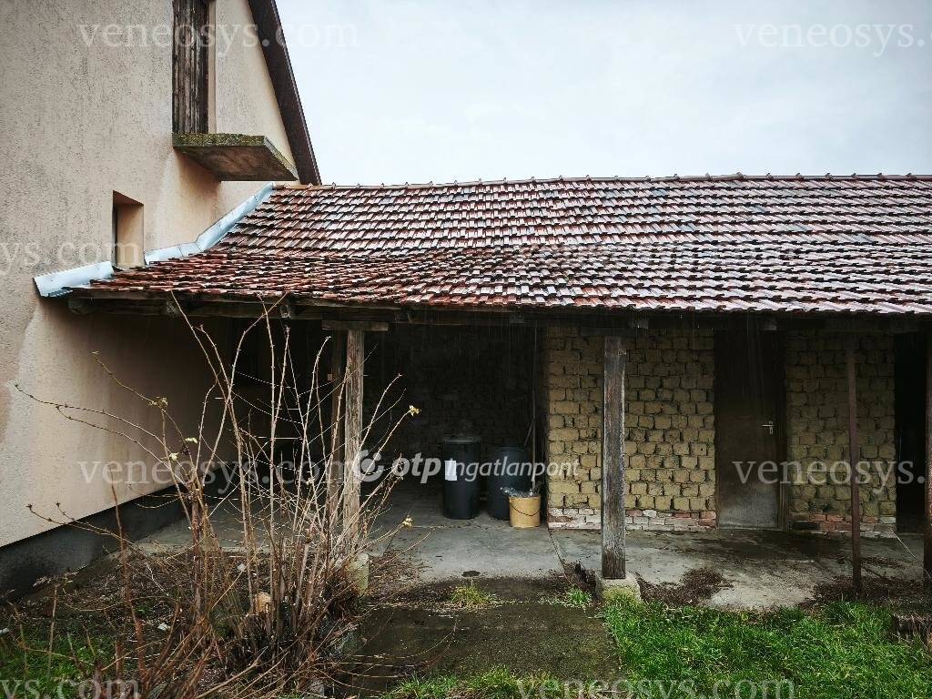 Kép 15