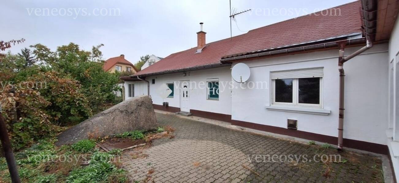 Kép 4