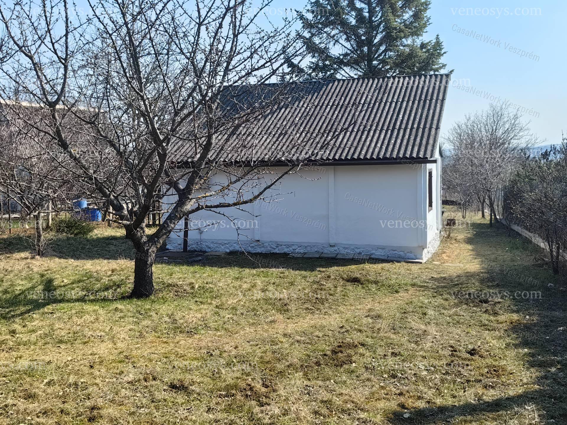 Kép 11