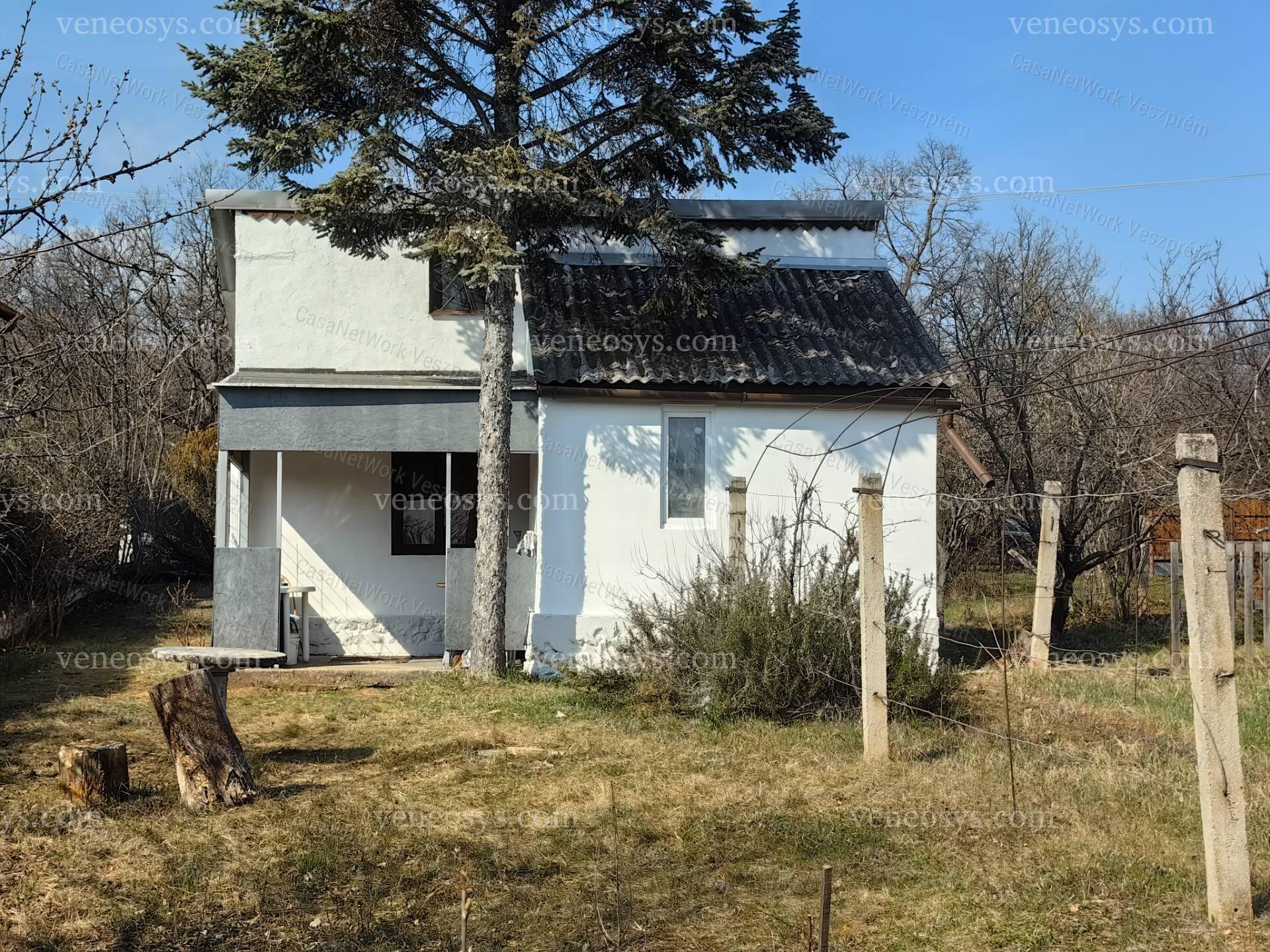 Kép 5