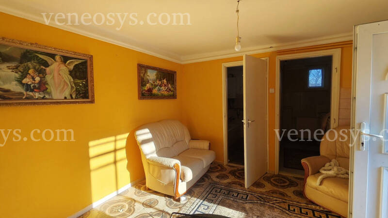 Kép 6
