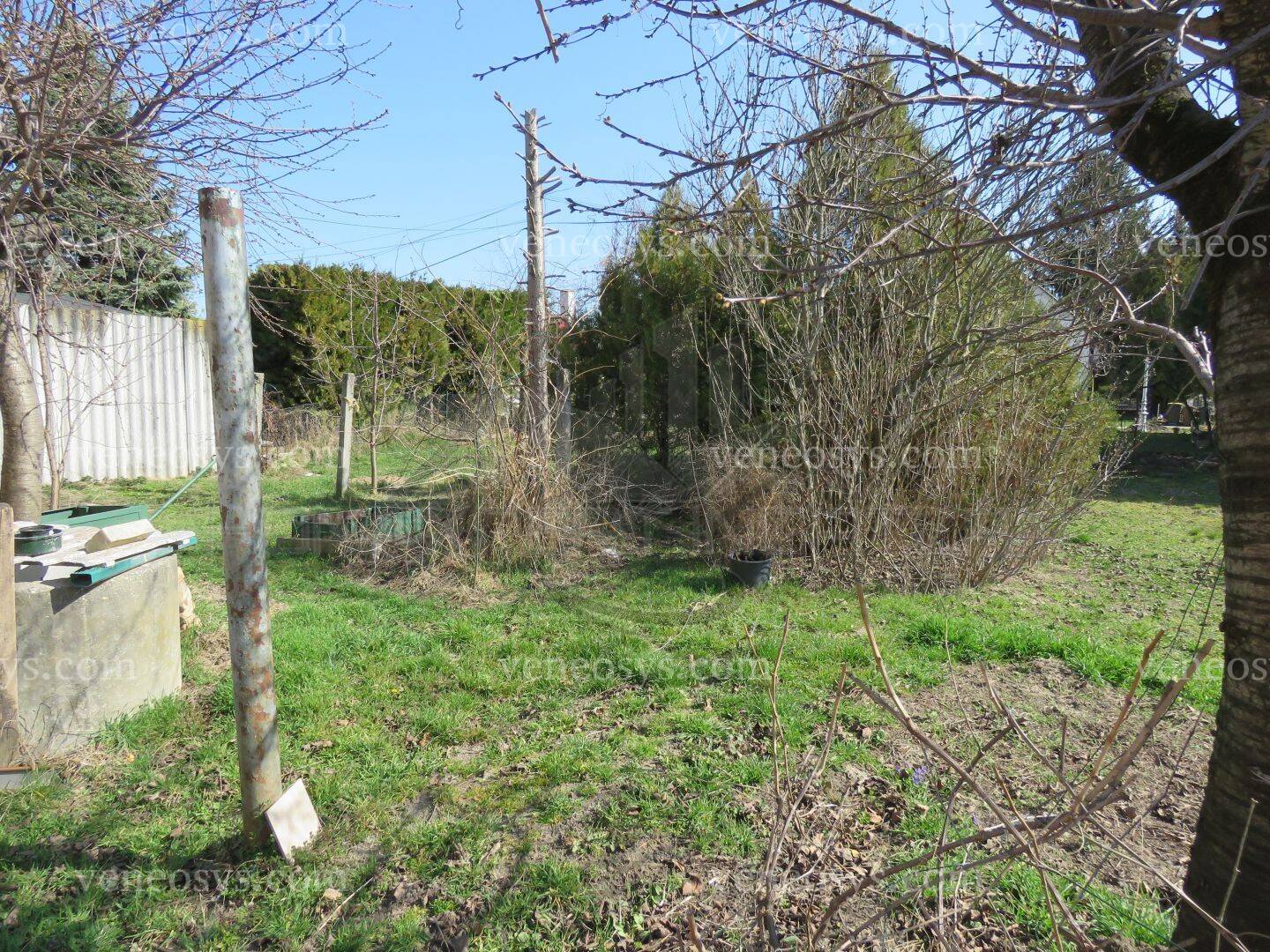Kép 11