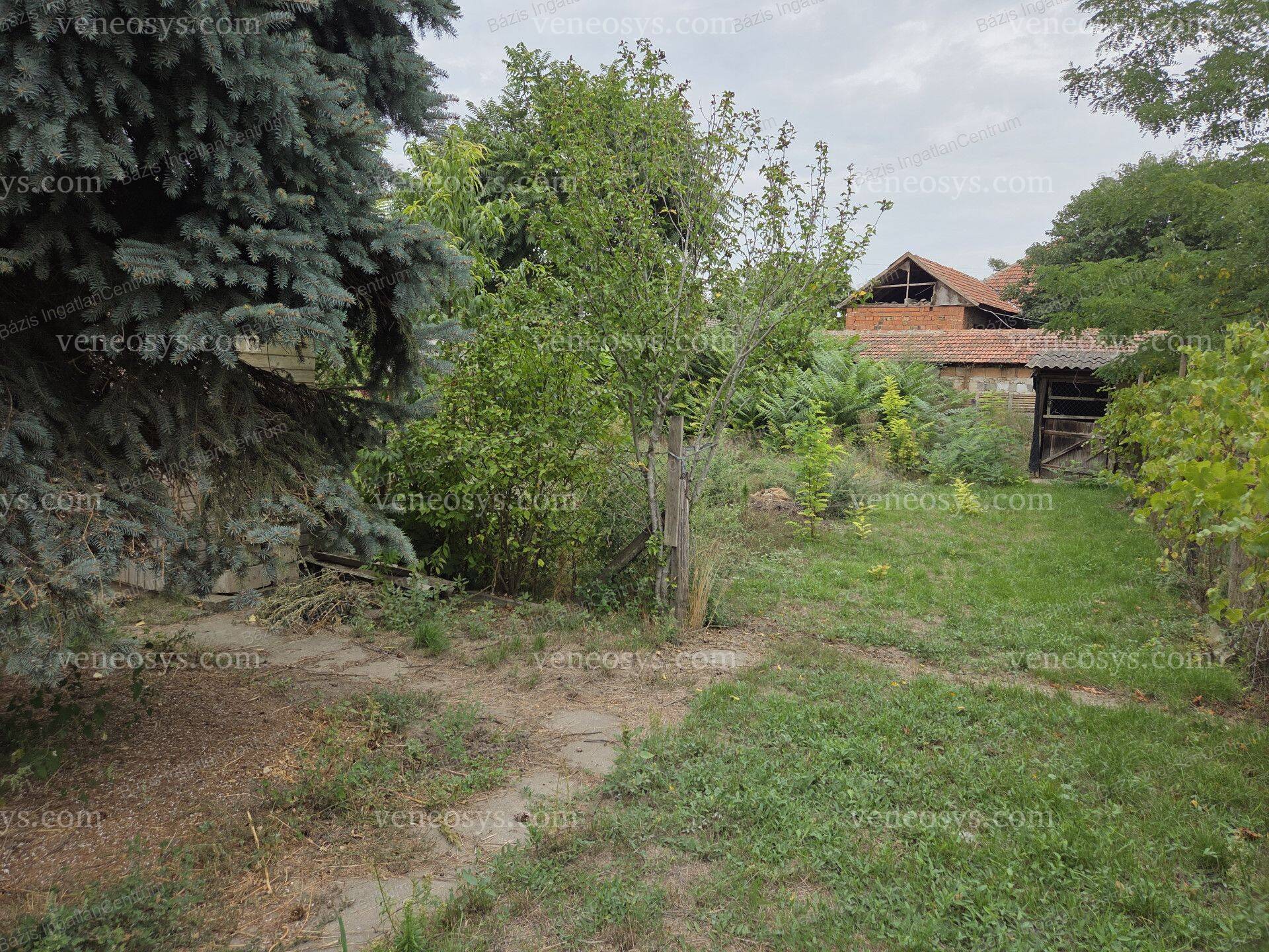 Kép 21
