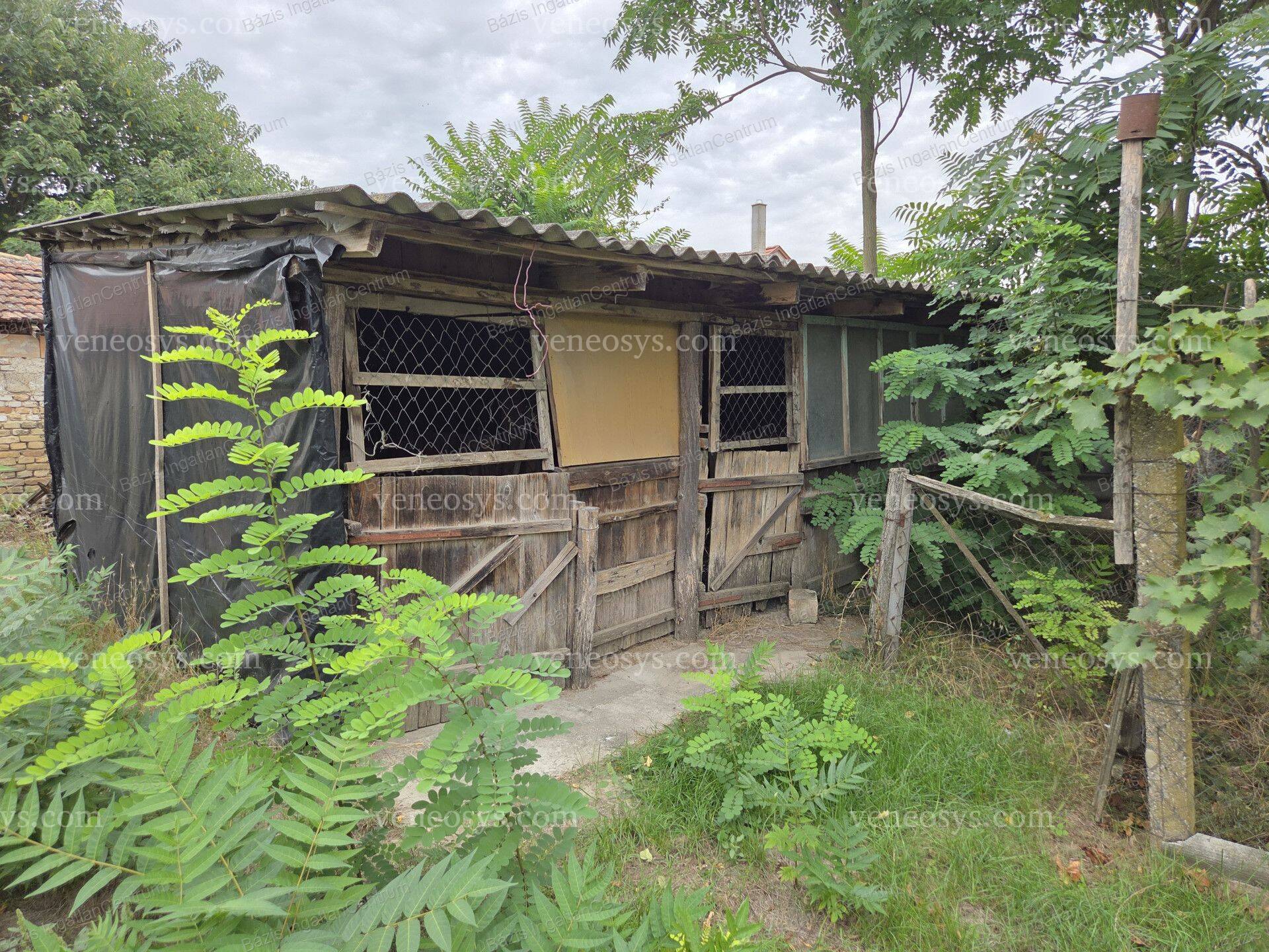 Kép 22